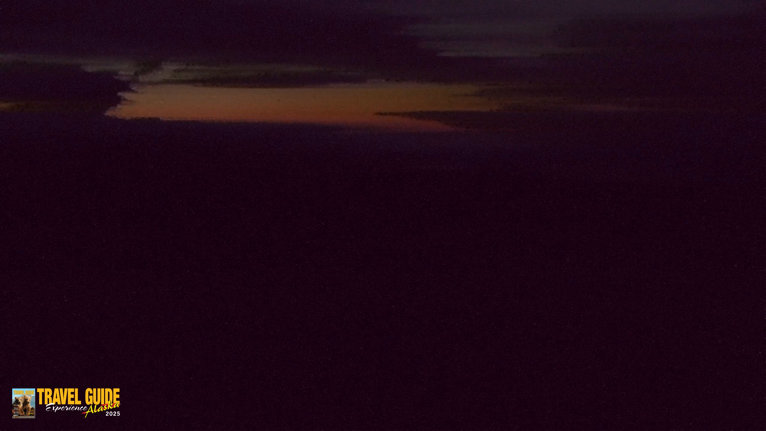 Snapshot of Homer Alaska Northern Lights Live Cam taken Aug 12, 2026, 4:52am AKDT