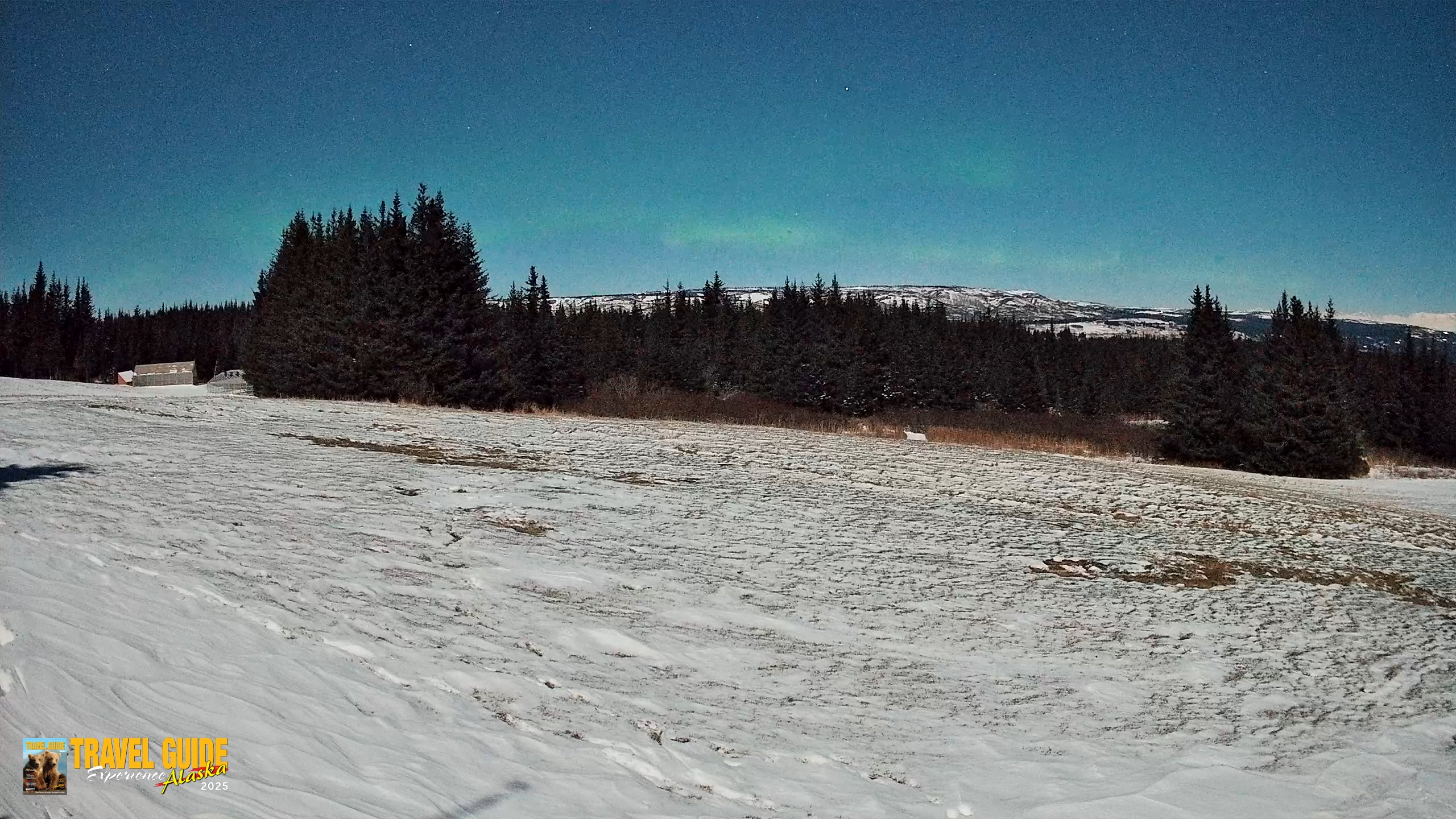 Snapshot of Homer Alaska Northern Lights Live Cam taken Jan 3, 2026, 3:38am AKST