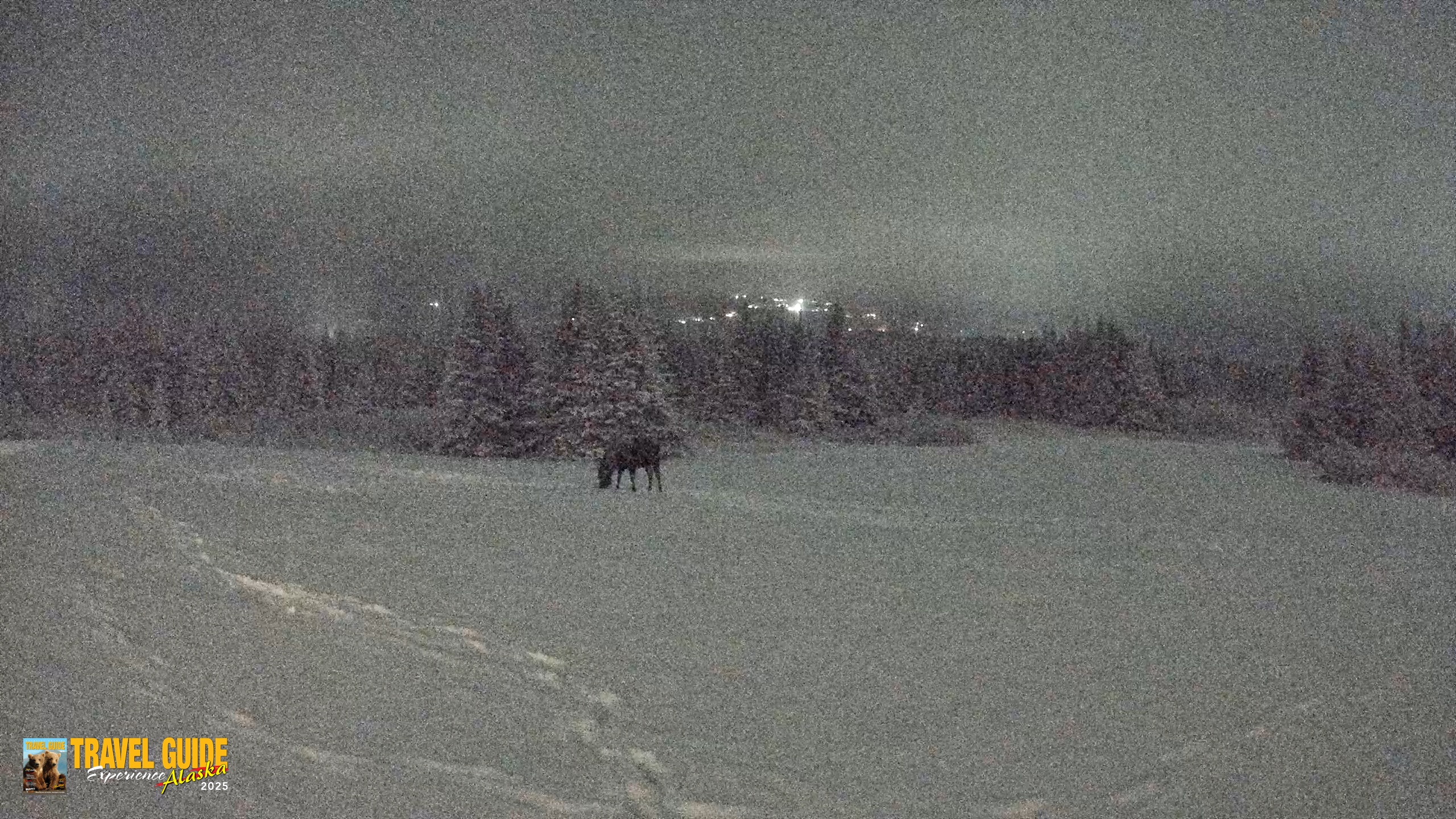 Snapshot of Homer Alaska Northern Lights Live Cam taken Jan 12, 2026, 10:14pm AKST