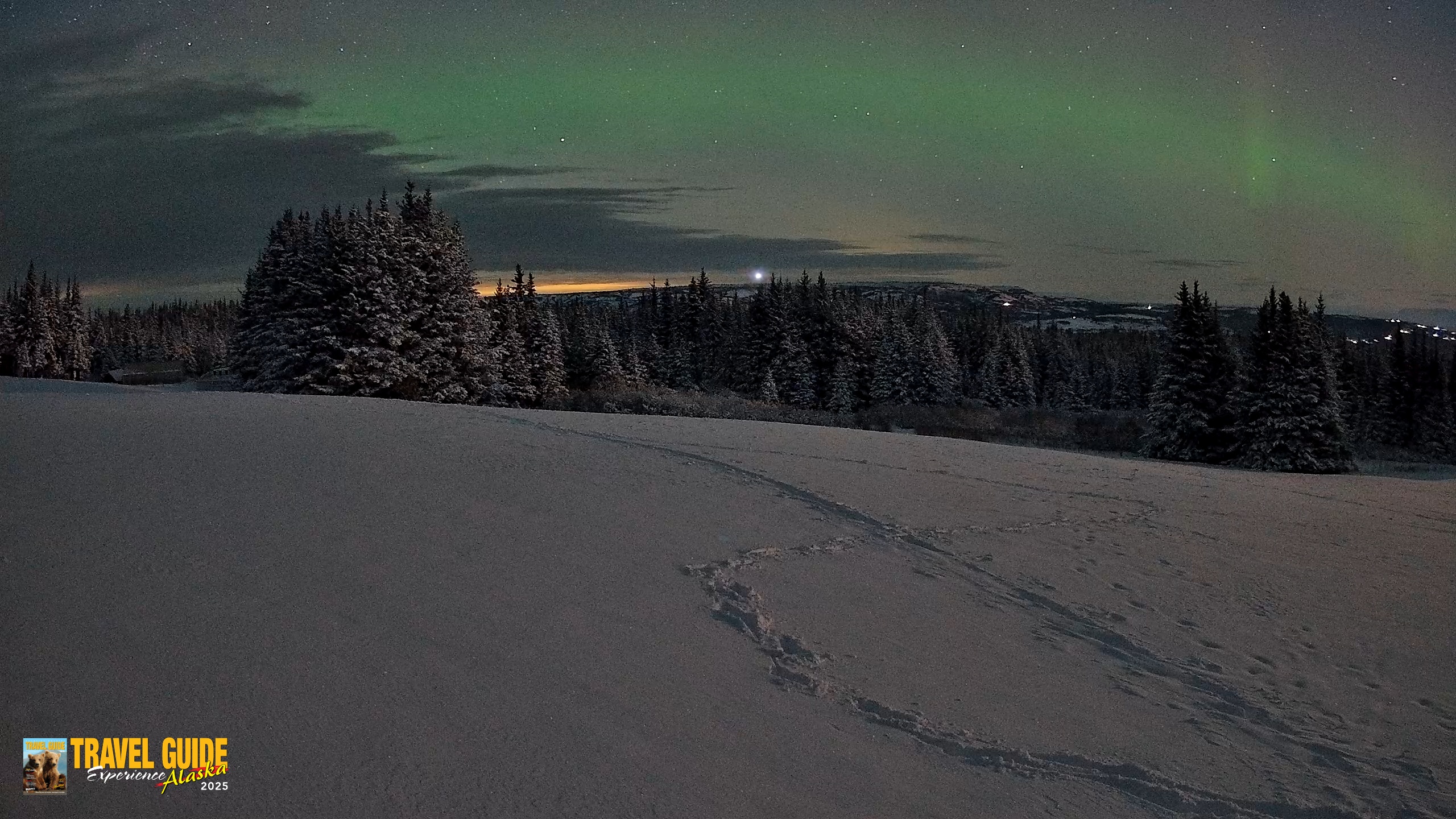 Snapshot of Homer Alaska Northern Lights Live Cam taken Jan 9, 2026, 6:11am AKST