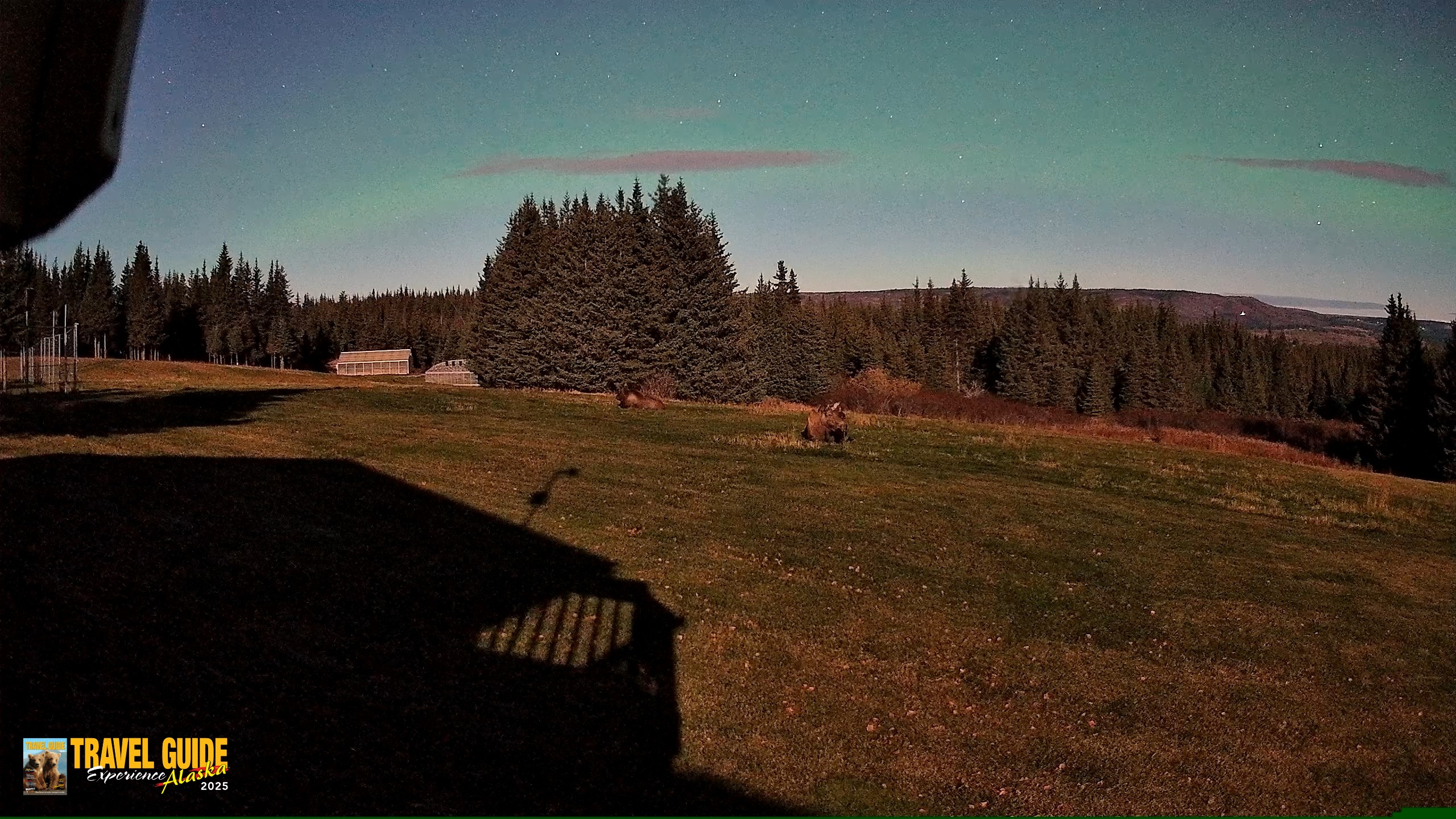 Snapshot of Homer Alaska Northern Lights Live Cam taken Oct 21, 2026, 10:57pm AKDT