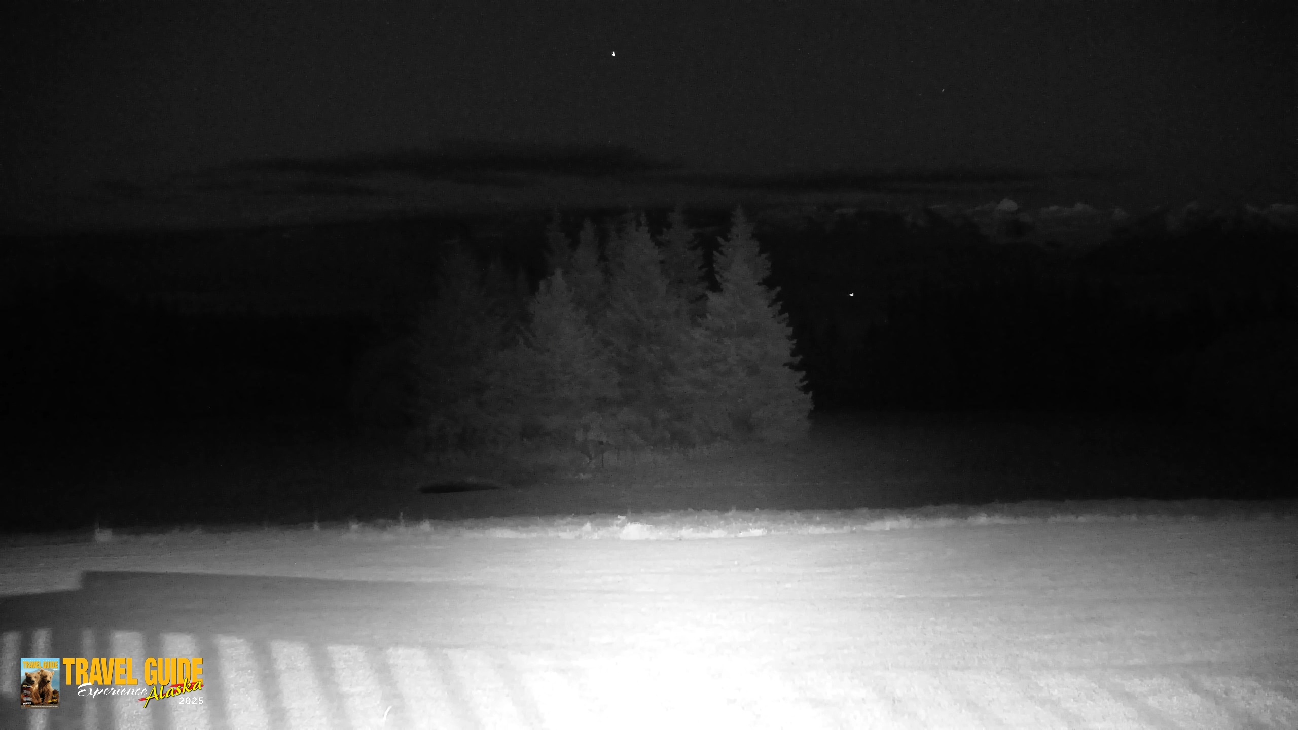 Snapshot of Homer Alaska Northern Lights Live Cam taken Oct 1, 2026, 8:58pm AKDT