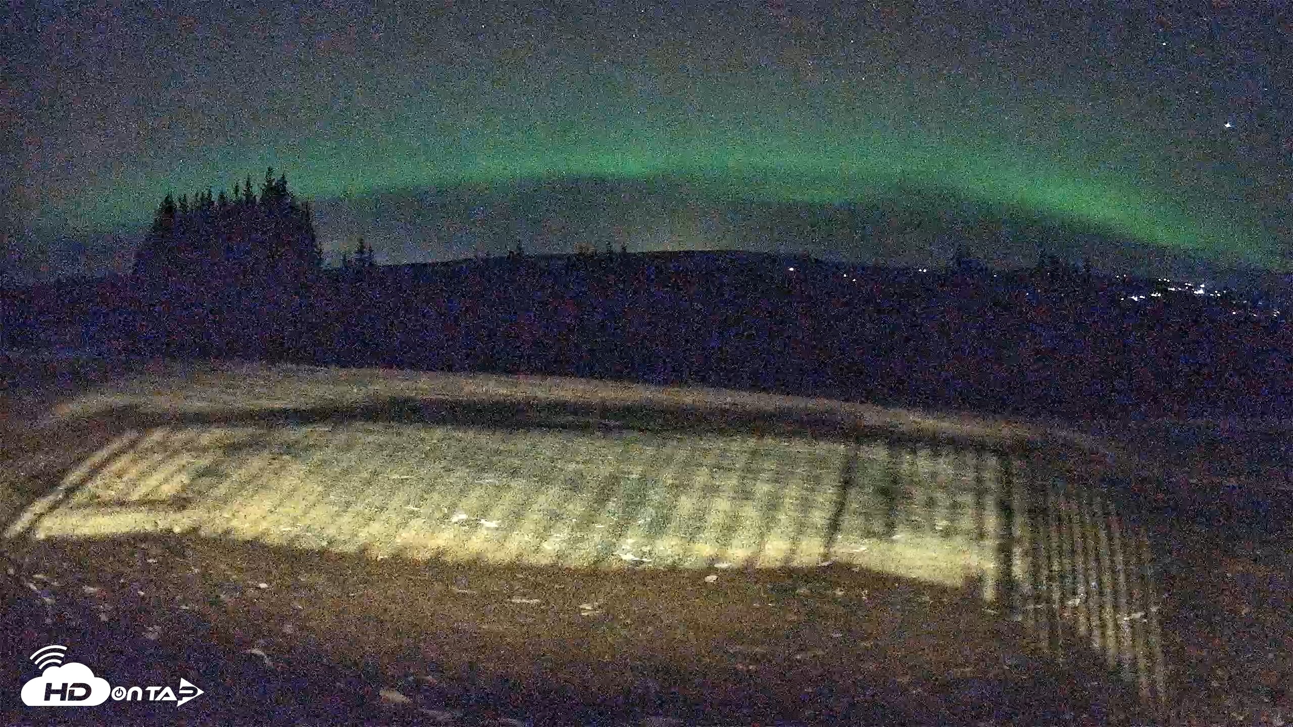 Snapshot of Homer Alaska Northern Lights Live Cam taken Dec 11, 2025, 8:15pm AKST