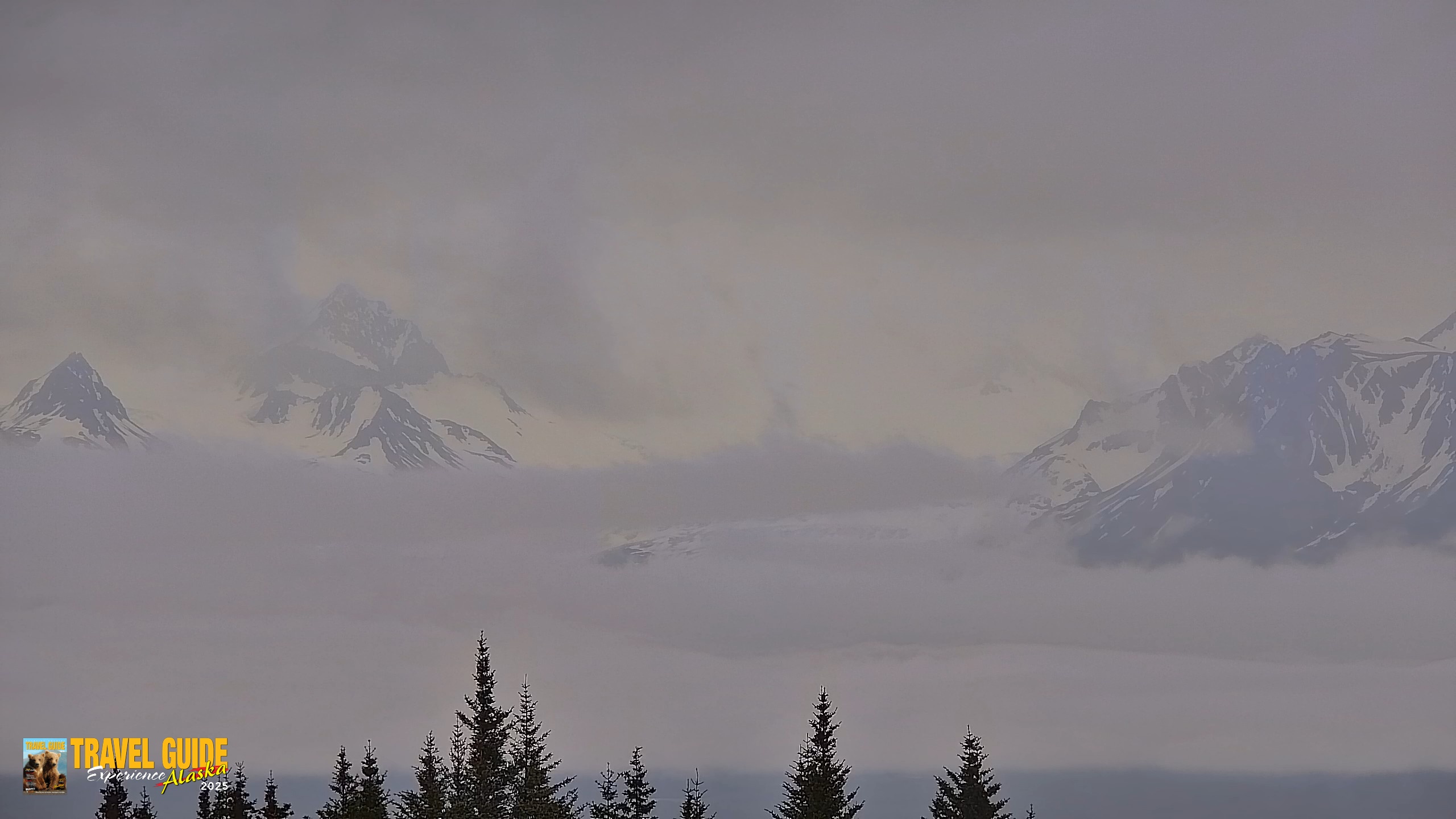 Snapshot of Homer Alaska Northern Lights Live Cam taken Jun 23, 2026, 8:50pm AKDT