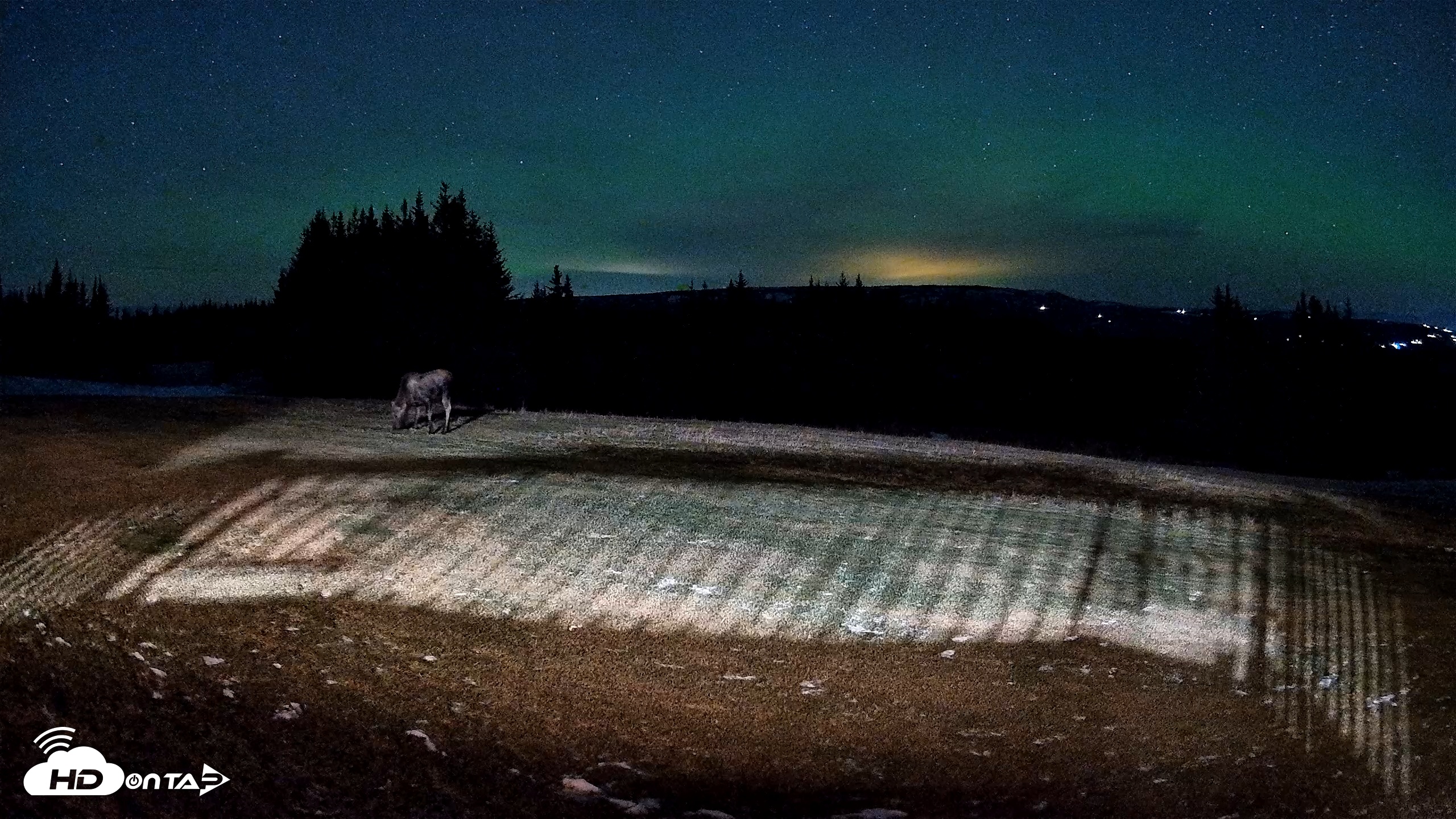 Snapshot of Homer Alaska Northern Lights Live Cam taken Dec 11, 2025, 9:09pm AKST
