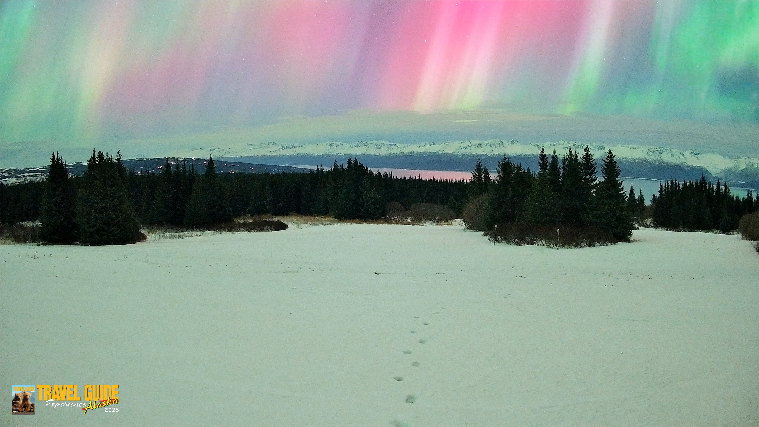 Snapshot of Homer Alaska Northern Lights Live Cam taken Jan 20, 2026, 4:53am AKST