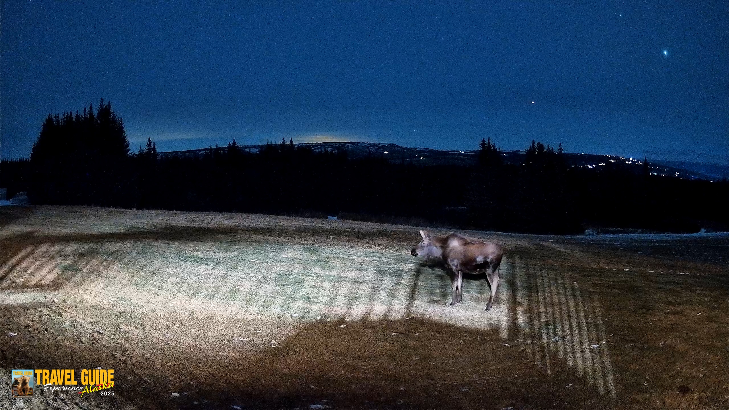 Snapshot of Homer Alaska Northern Lights Live Cam taken Dec 25, 2025, 7:31pm AKST