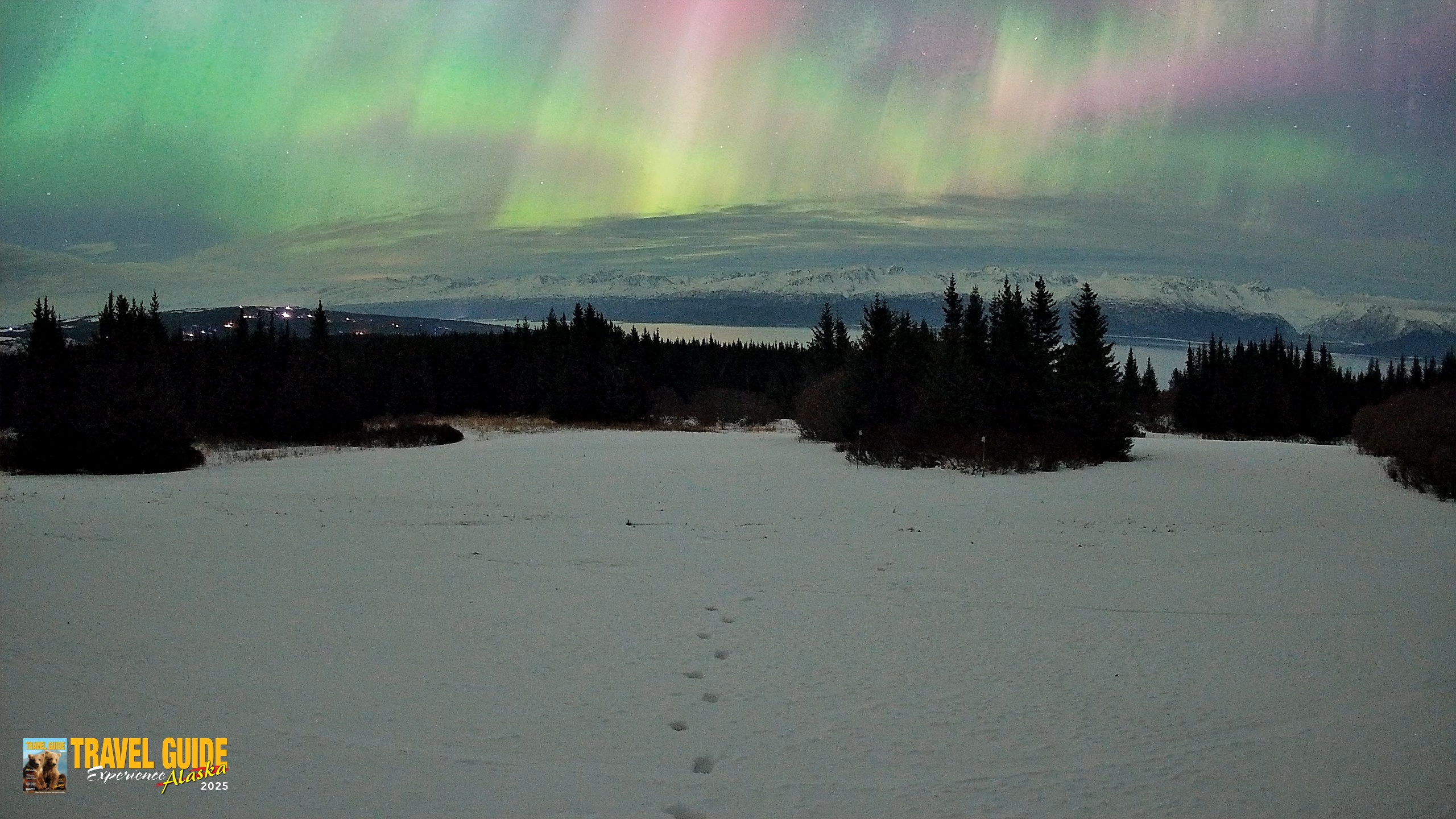 Snapshot of Homer Alaska Northern Lights Live Cam taken Jan 20, 2026, 4:10am AKST