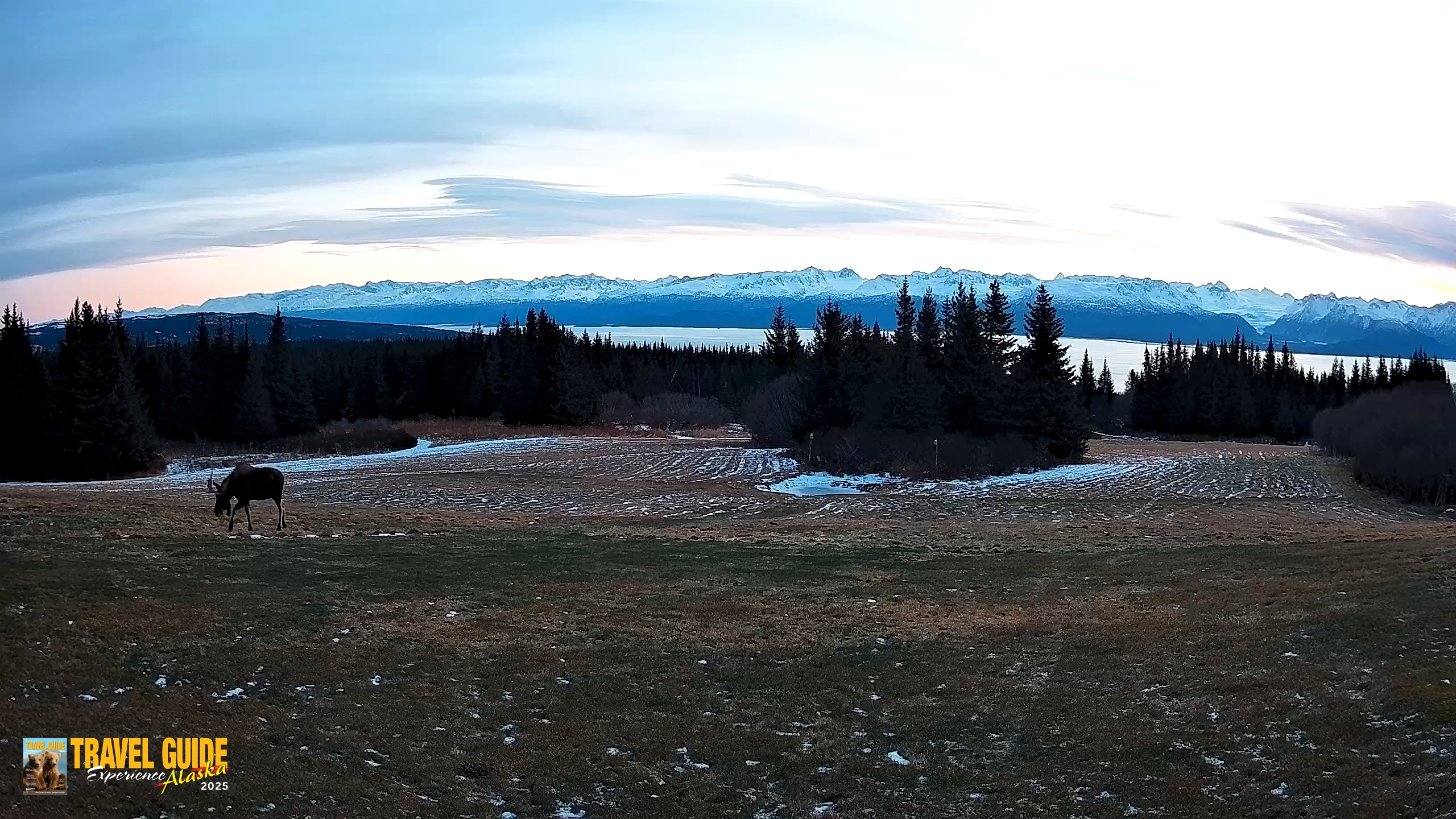 Snapshot of Homer Alaska Northern Lights Live Cam taken Dec 19, 2025, 11:27am AKST