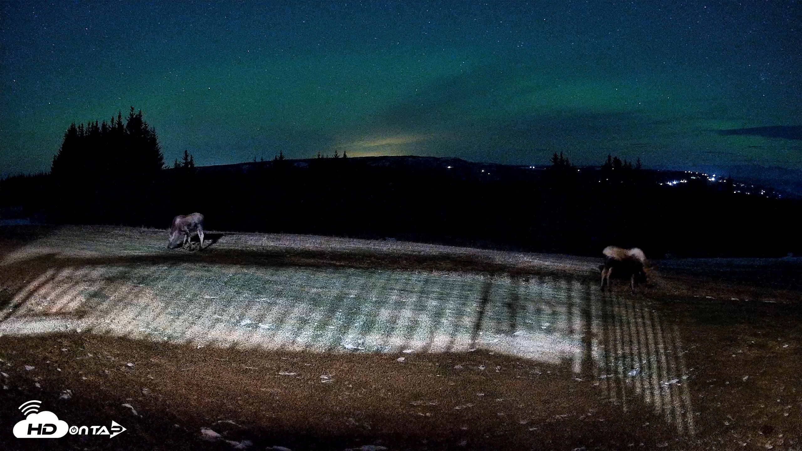 Snapshot of Homer Alaska Northern Lights Live Cam taken Dec 11, 2025, 9:34pm AKST