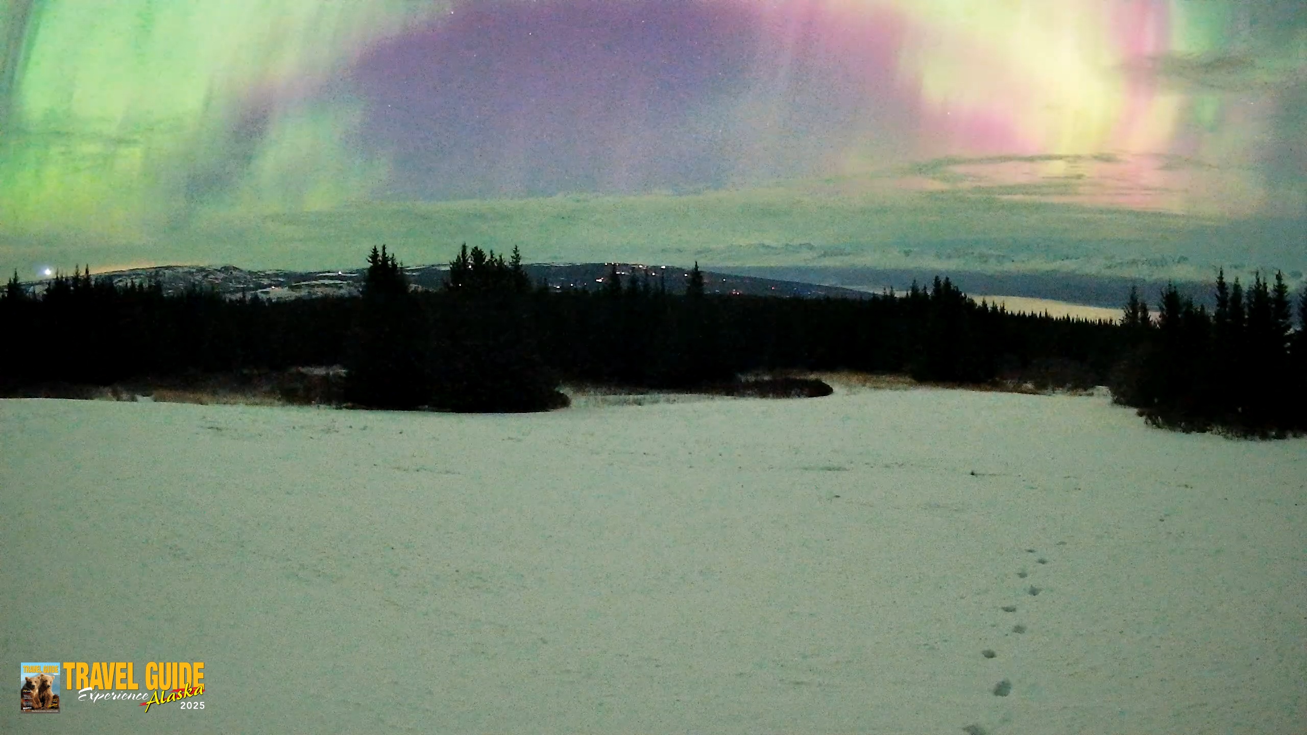 Snapshot of Homer Alaska Northern Lights Live Cam taken Jan 20, 2026, 5:56am AKST