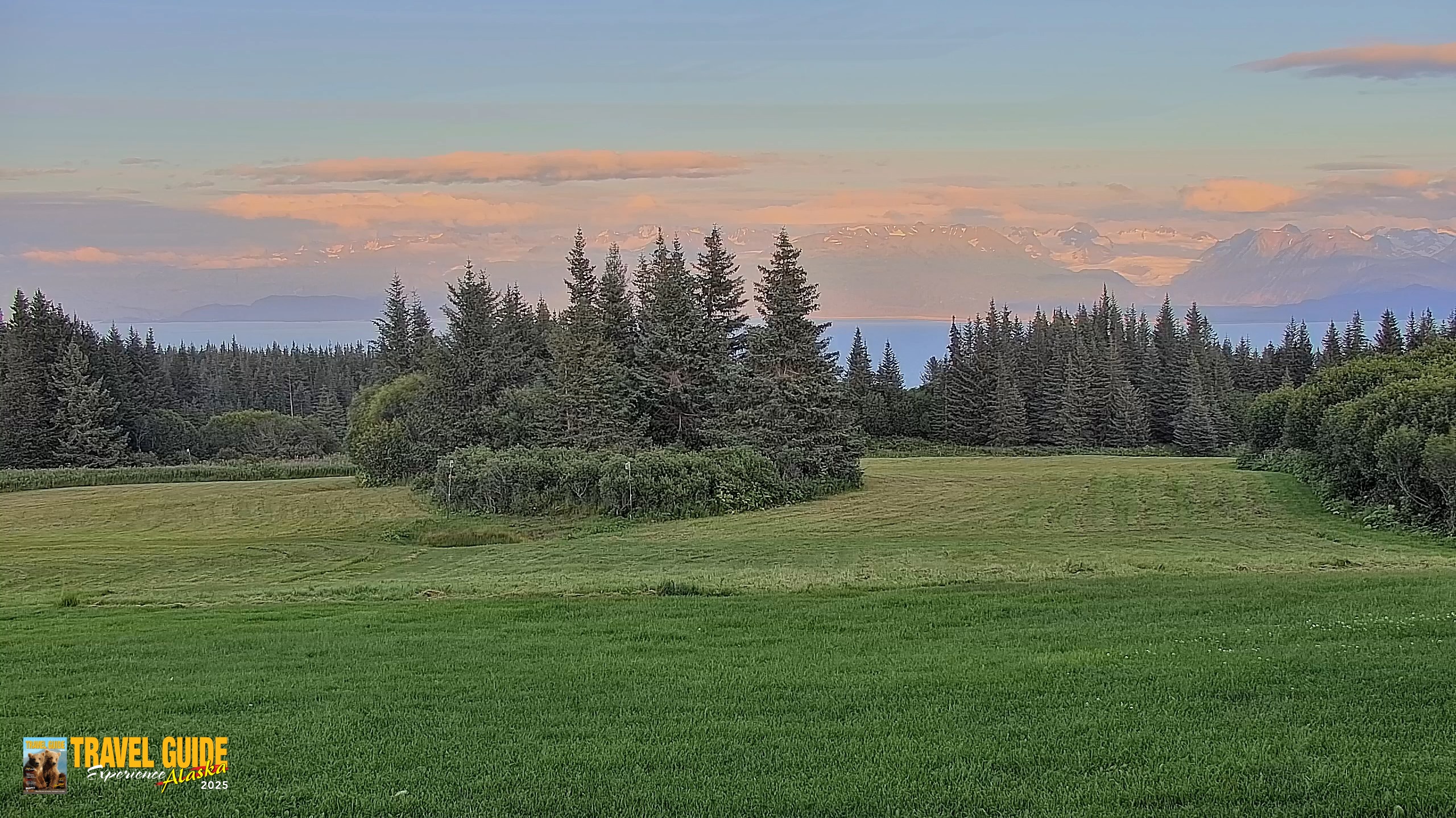 Snapshot of Homer Alaska Northern Lights Live Cam taken Aug 17, 2026, 9:05pm AKDT