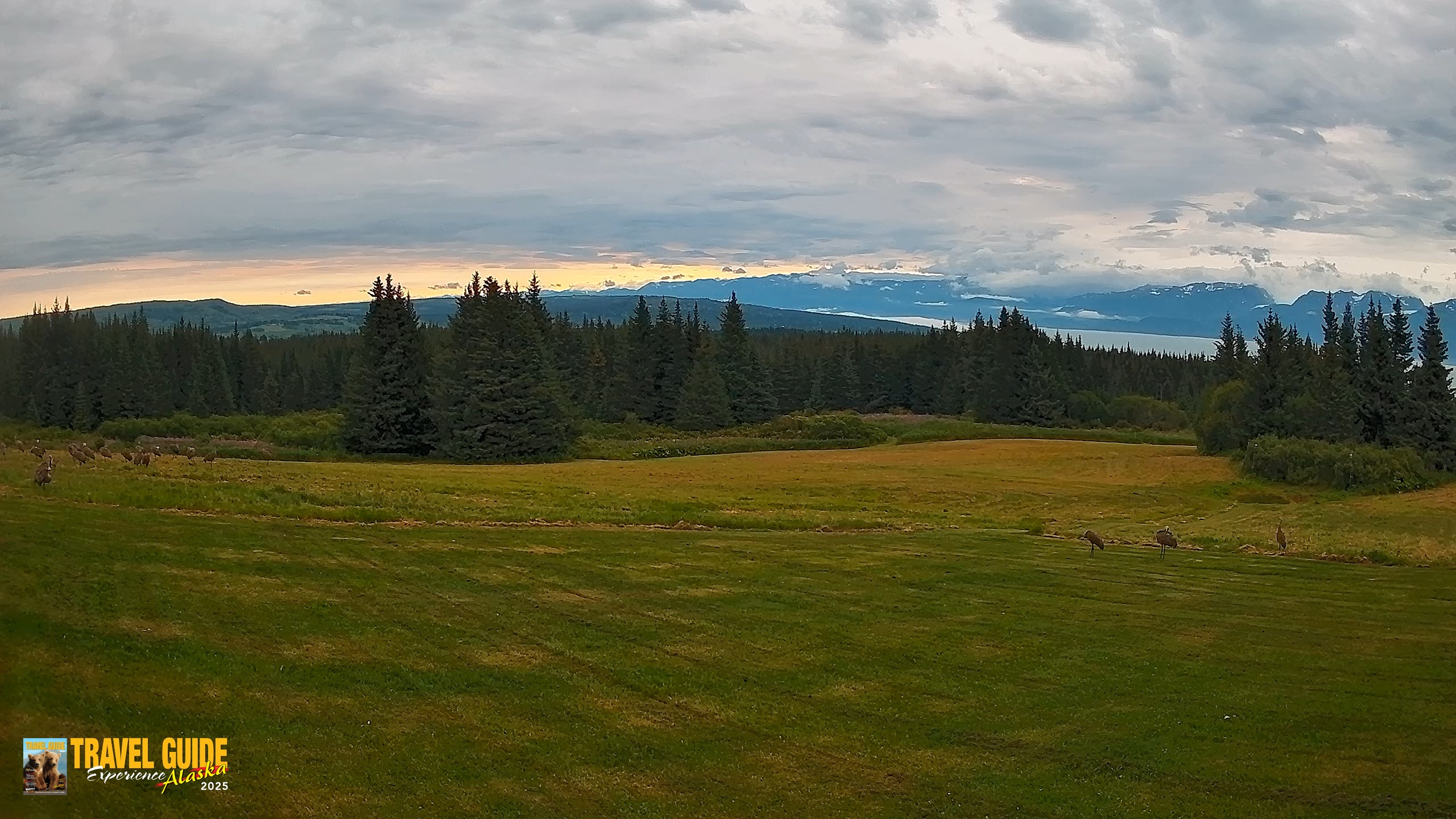 Snapshot of Homer Alaska Northern Lights Live Cam taken Aug 19, 2026, 8:15am AKDT