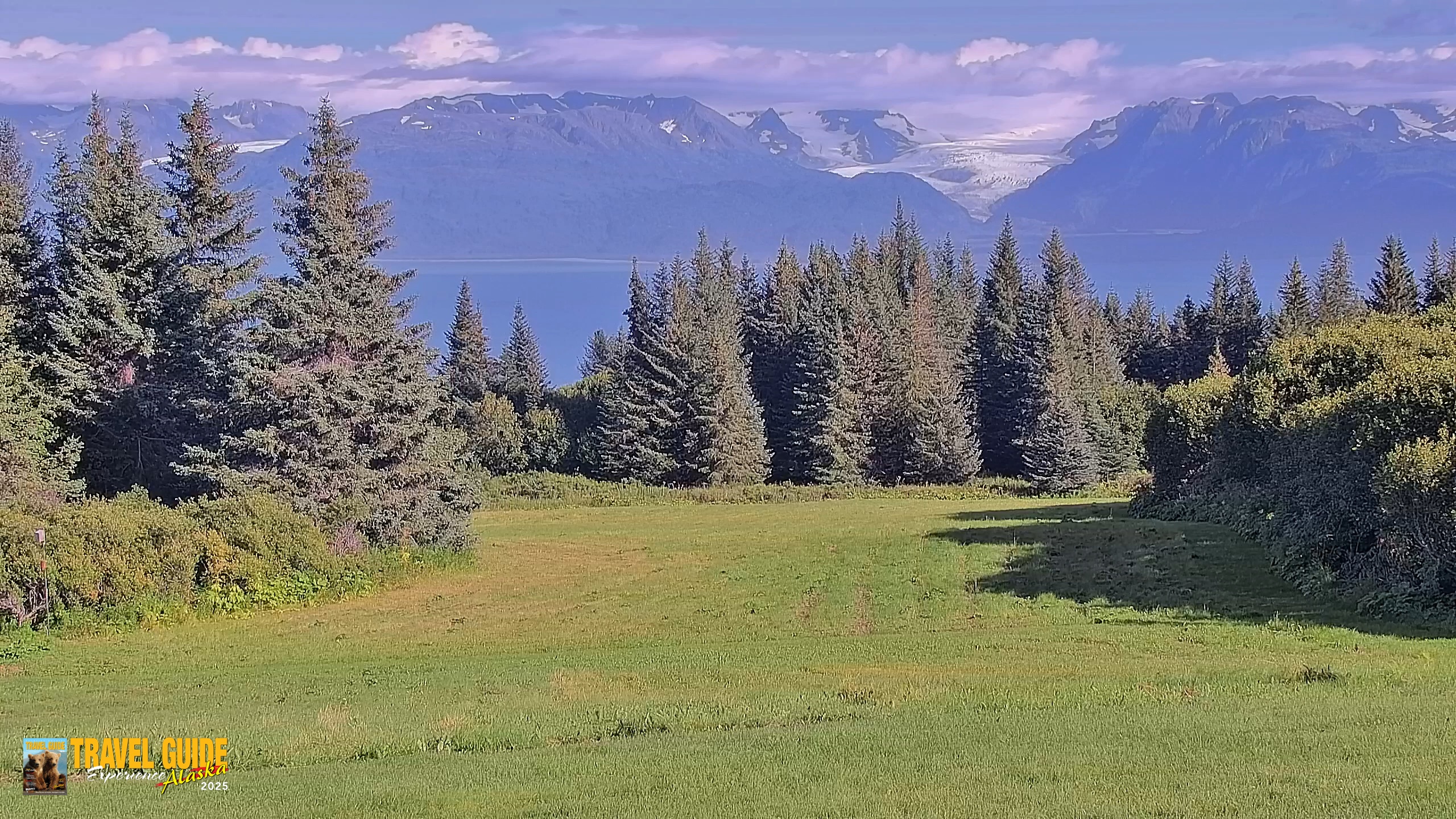 Snapshot of Homer Alaska Northern Lights Live Cam taken Aug 29, 2026, 5:28pm AKDT