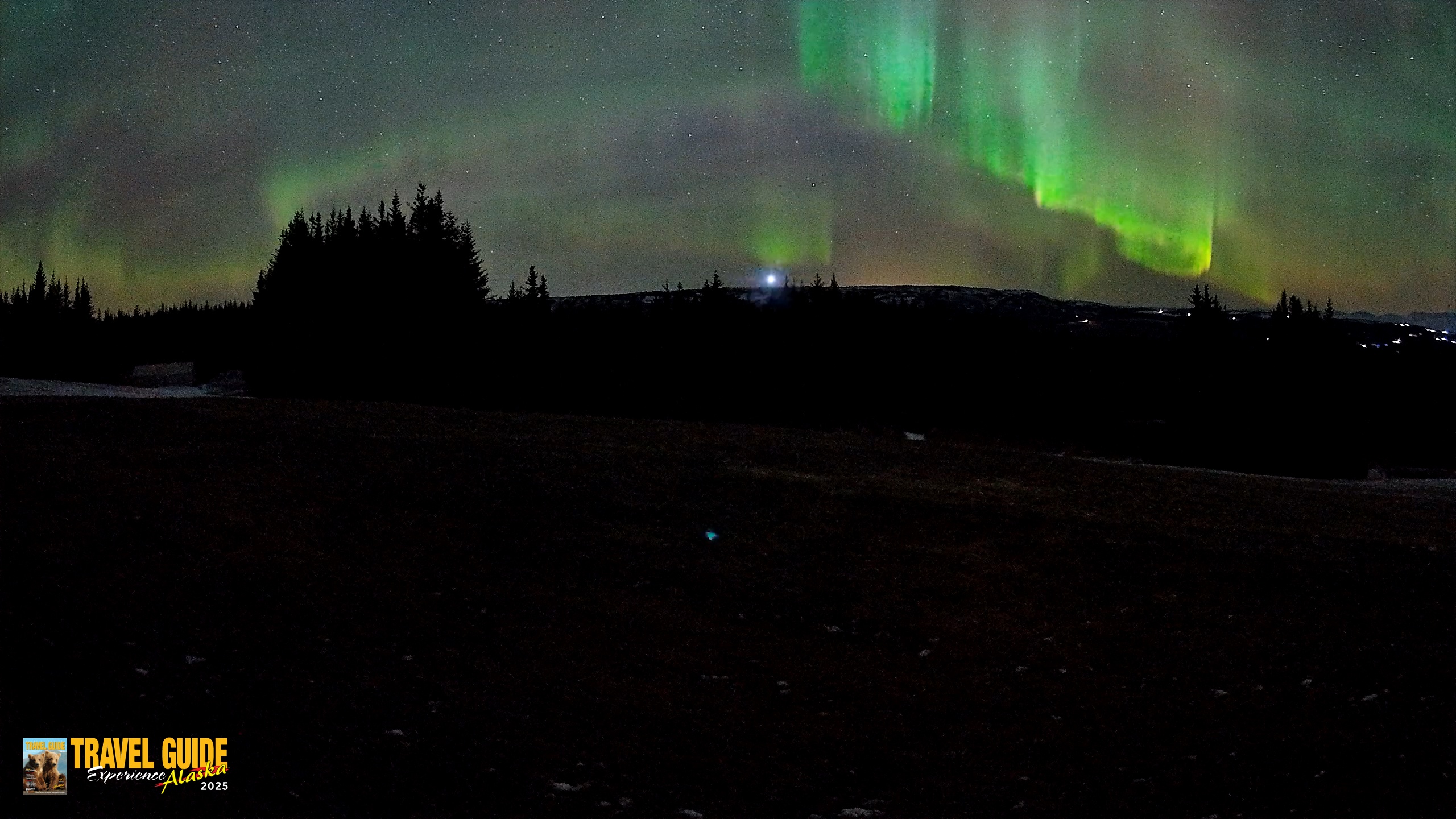 Snapshot of Homer Alaska Northern Lights Live Cam taken Dec 22, 2025, 5:39am AKST