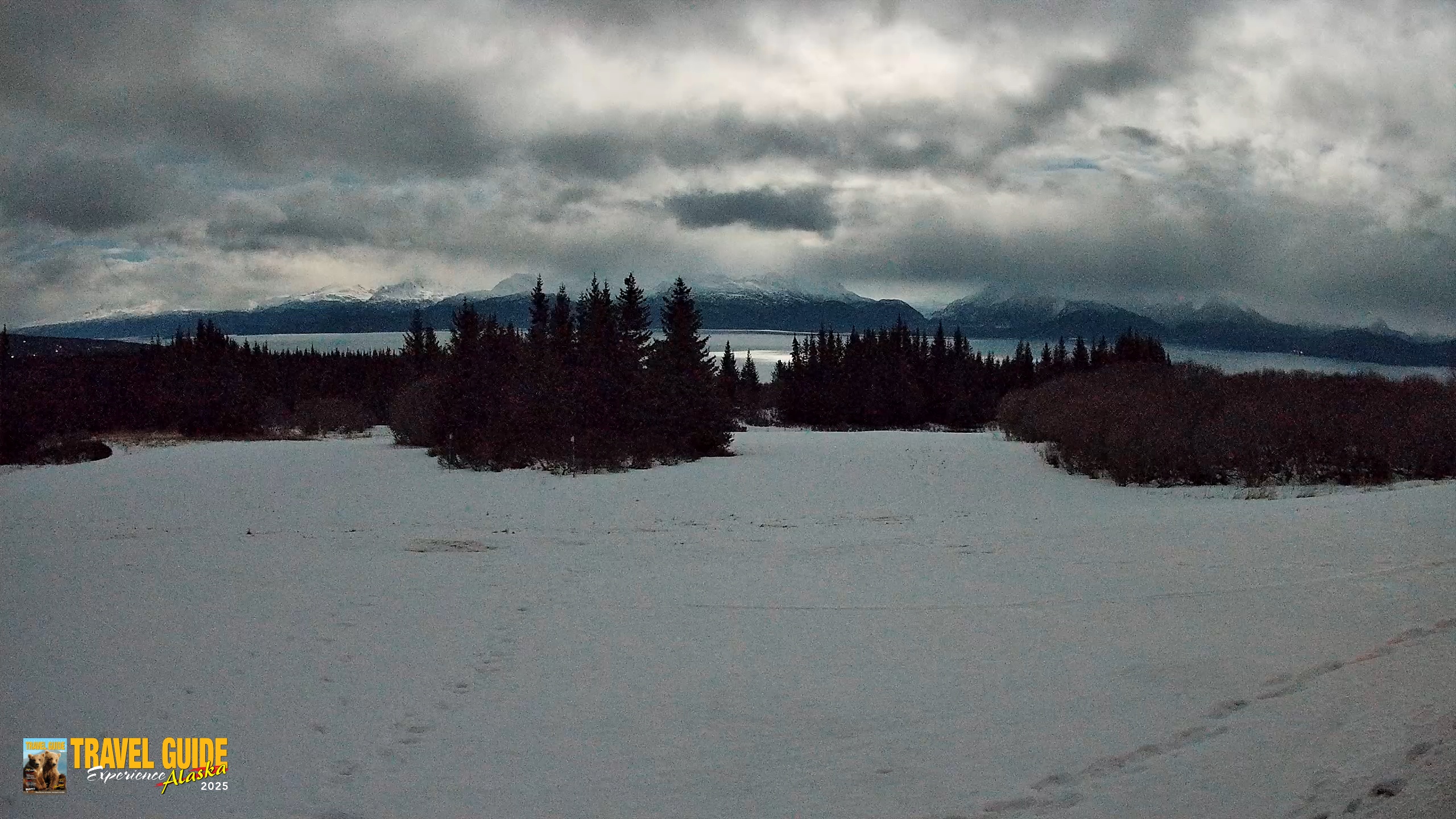 Snapshot of Homer Alaska Northern Lights Live Cam taken Feb 1, 2026, 11:10pm AKST