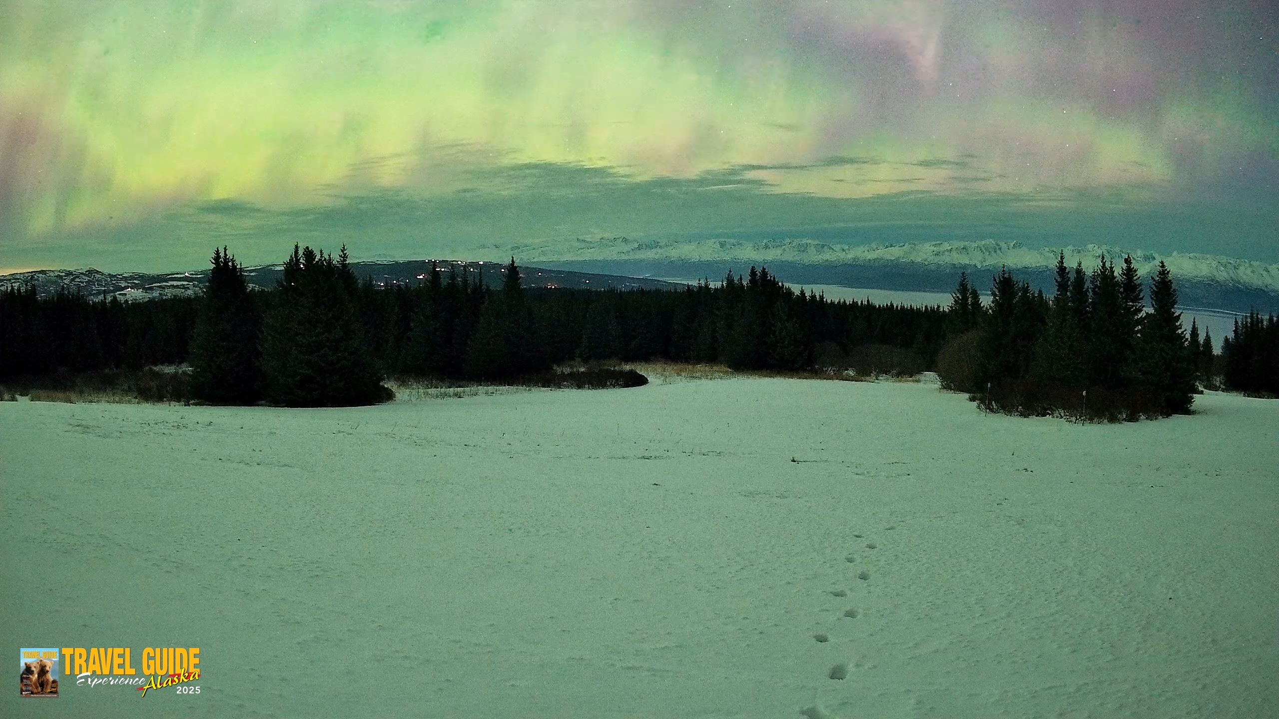 Snapshot of Homer Alaska Northern Lights Live Cam taken Jan 20, 2026, 5:46am AKST