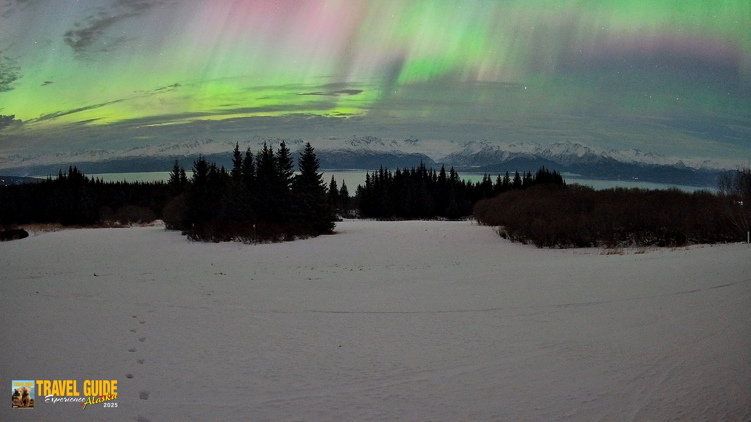 Snapshot of Homer Alaska Northern Lights Live Cam taken Jan 20, 2026, 3:01am AKST