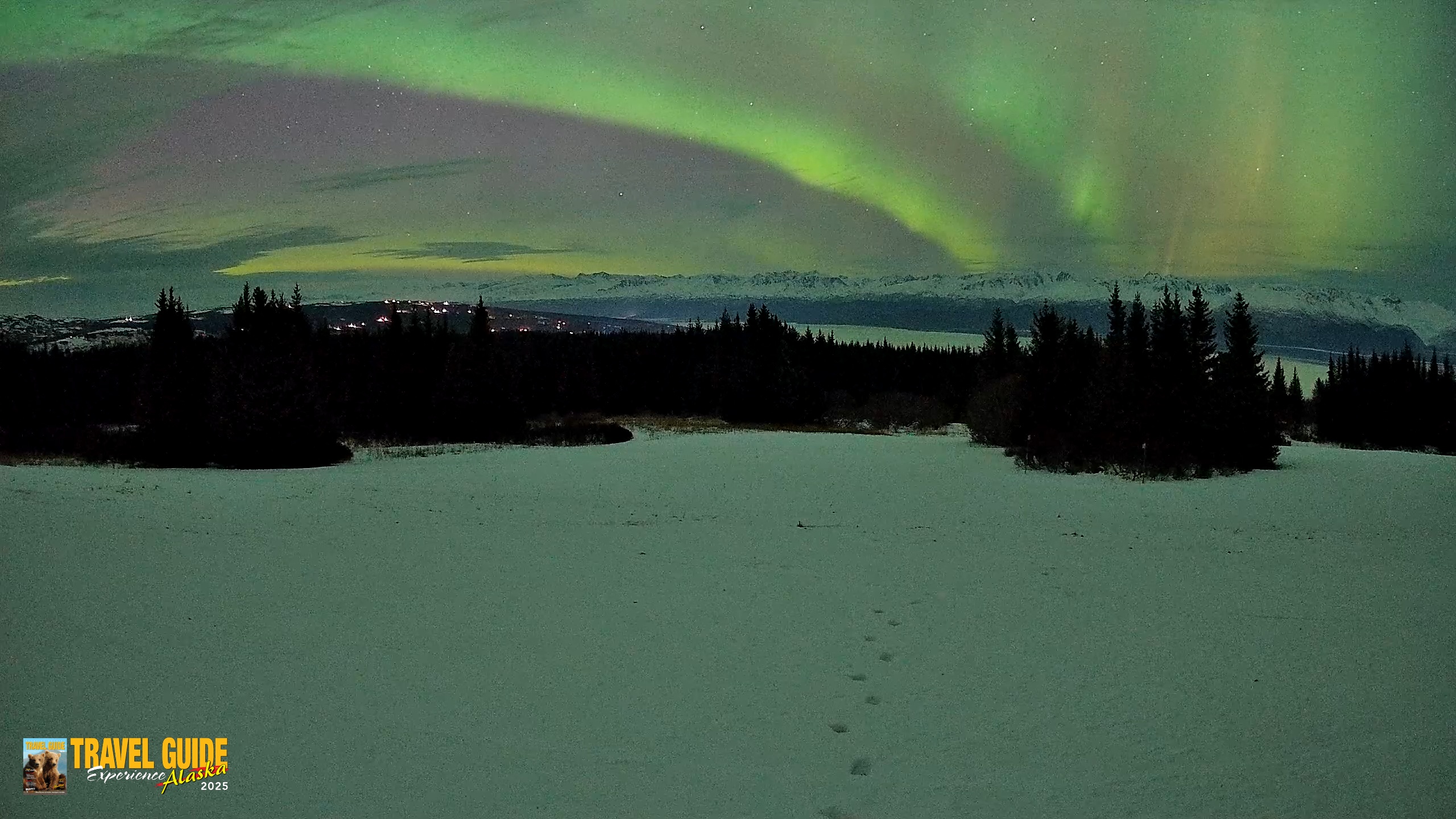 Snapshot of Homer Alaska Northern Lights Live Cam taken Jan 20, 2026, 9:59pm AKST