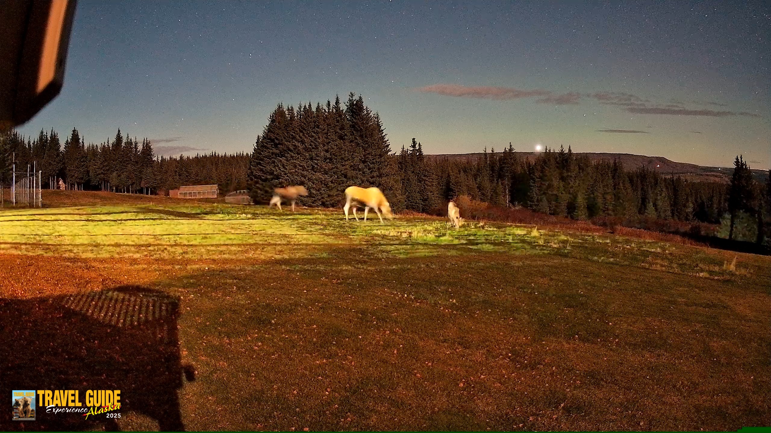 Snapshot of Homer Alaska Northern Lights Live Cam taken Oct 21, 2026, 9:43pm AKDT