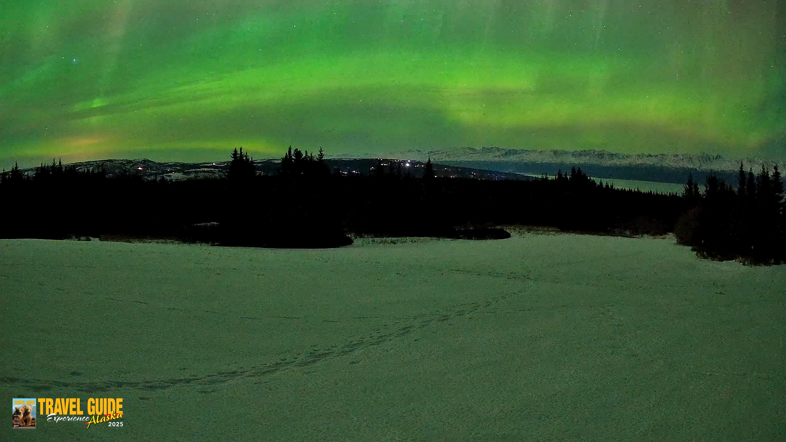 Snapshot of Homer Alaska Northern Lights Live Cam taken Feb 21, 2026, 11:43pm AKST