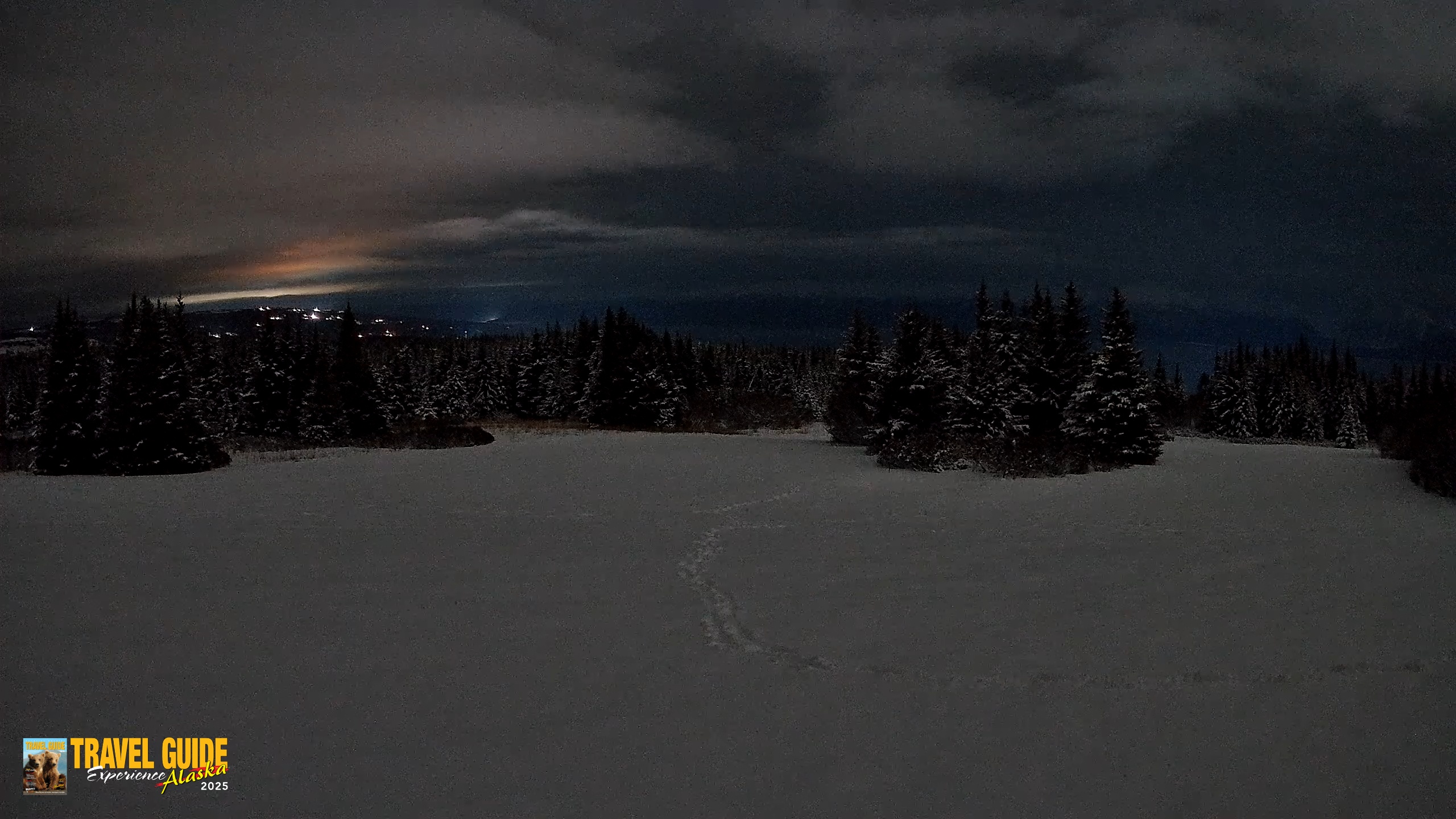 Snapshot of Homer Alaska Northern Lights Live Cam taken Feb 14, 2026, 4:52am AKST