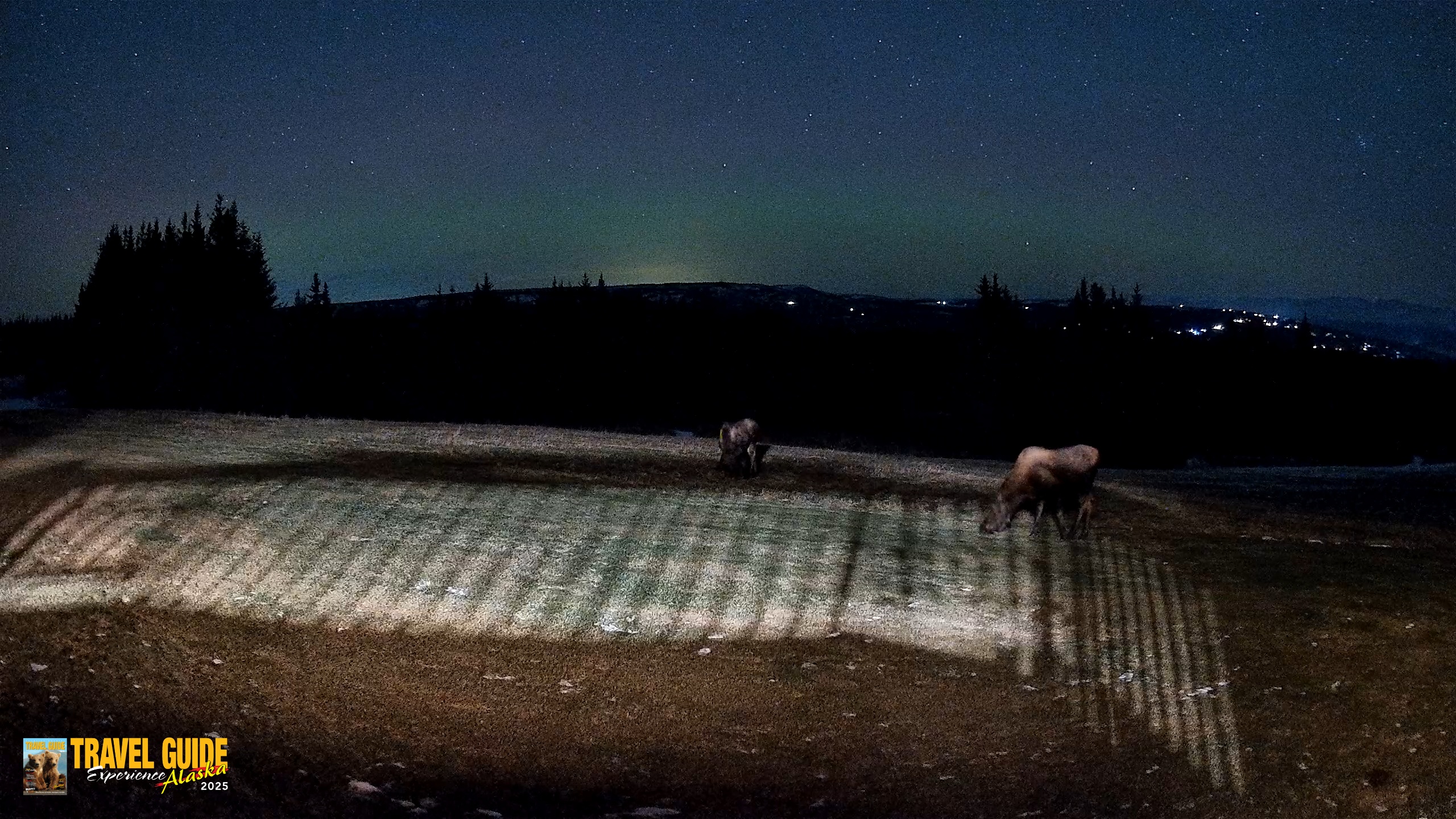 Snapshot of Homer Alaska Northern Lights Live Cam taken Dec 15, 2025, 9:16pm AKST