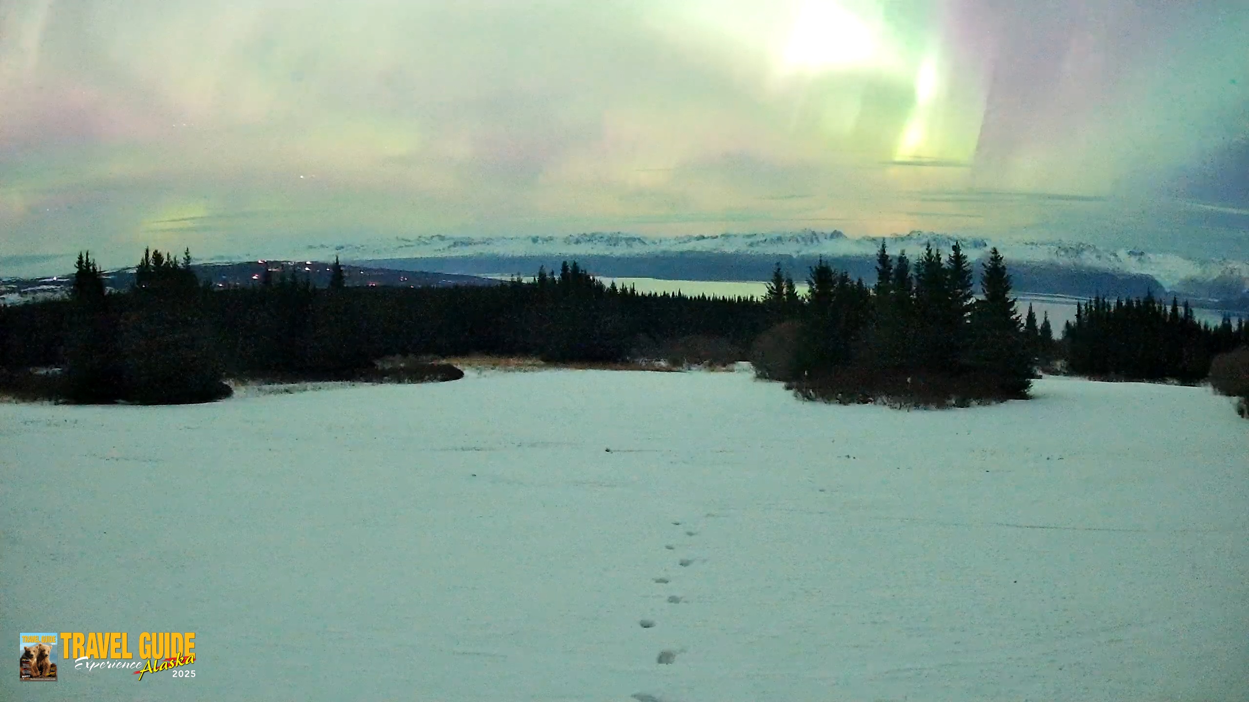 Snapshot of Homer Alaska Northern Lights Live Cam taken Jan 20, 2026, 11:49pm AKST