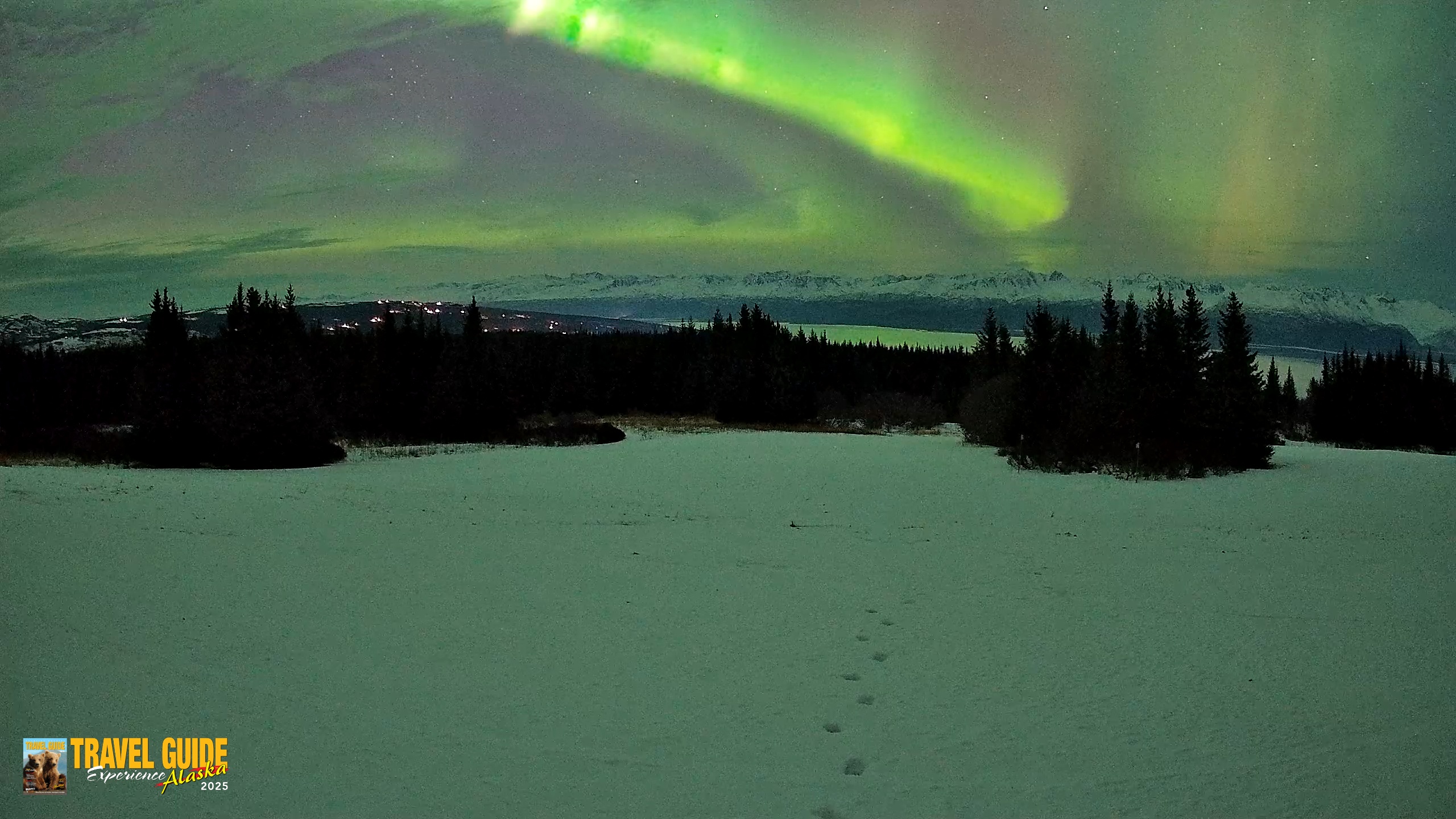 Snapshot of Homer Alaska Northern Lights Live Cam taken Jan 20, 2026, 10:05pm AKST