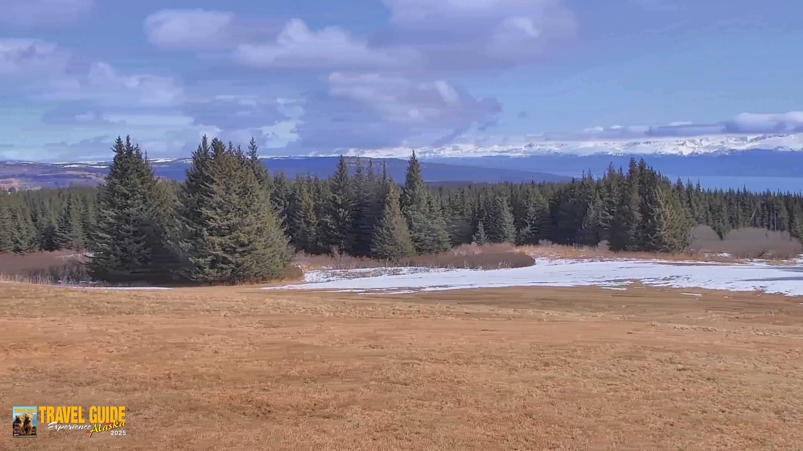 Snapshot of Homer Alaska Northern Lights Live Cam taken Apr 21, 2026, 1:18pm AKDT