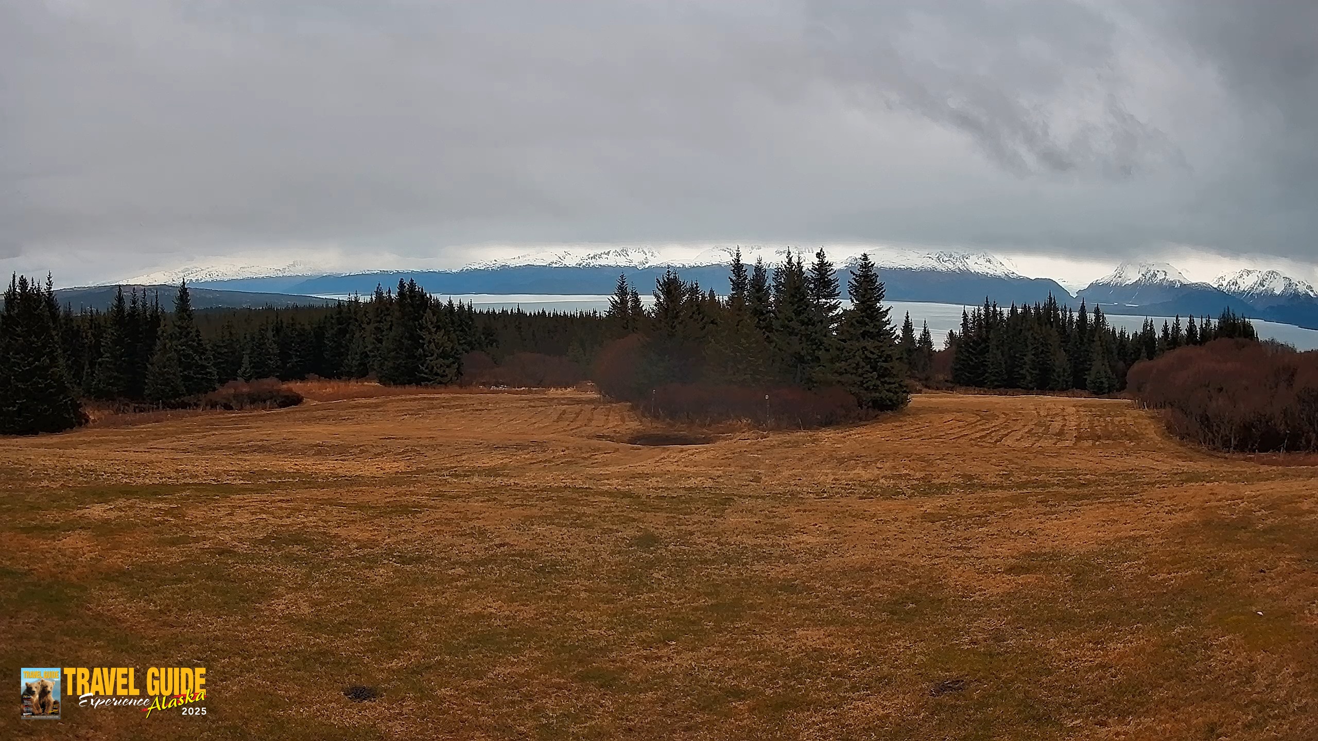 Snapshot of Homer Alaska Northern Lights Live Cam taken May 17, 2026, 4:08pm AKDT