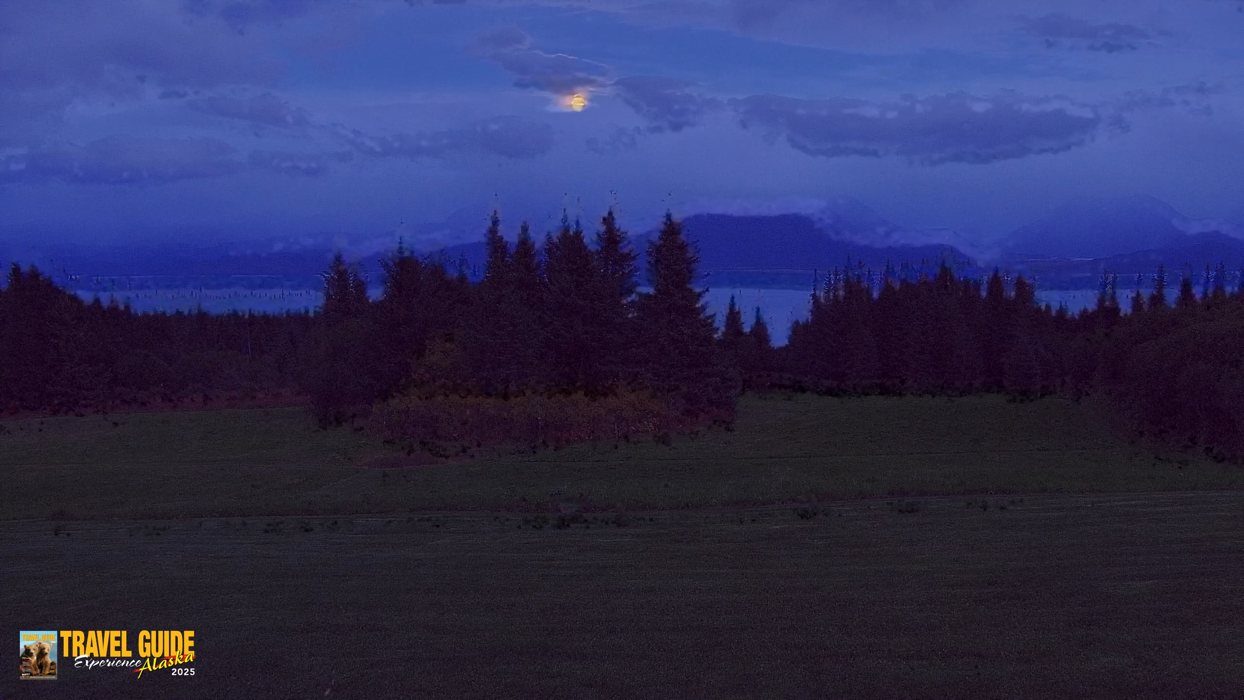 Snapshot of Homer Alaska Northern Lights Live Cam taken Sep 25, 2026, 8:22pm AKDT