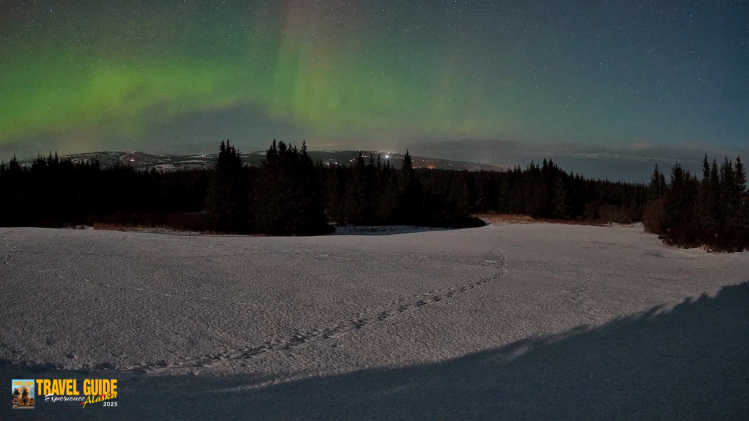Snapshot of Homer Alaska Northern Lights Live Cam taken Feb 24, 2026, 1:26am AKST