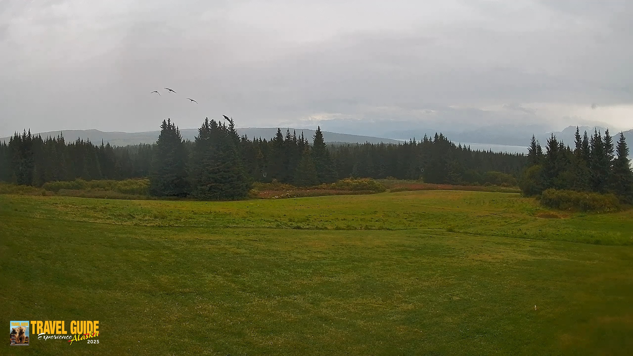 Snapshot of Homer Alaska Northern Lights Live Cam taken Sep 6, 2026, 4:30pm AKDT