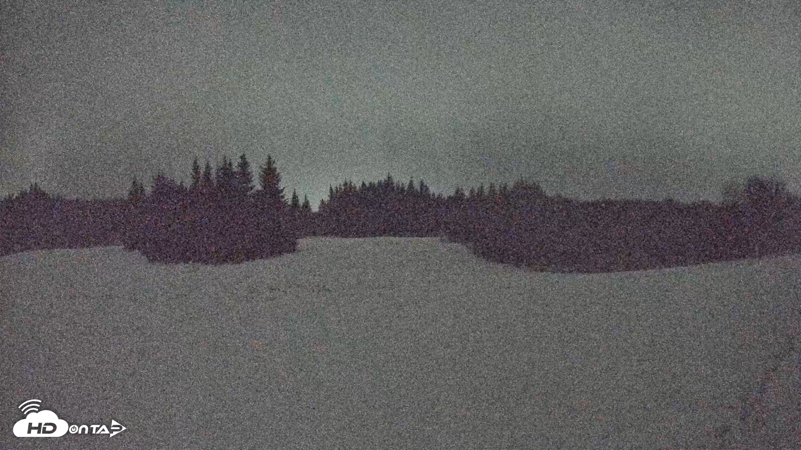 Snapshot of Homer Alaska Northern Lights Live Cam taken Nov 27, 2025, 5:17am AKST