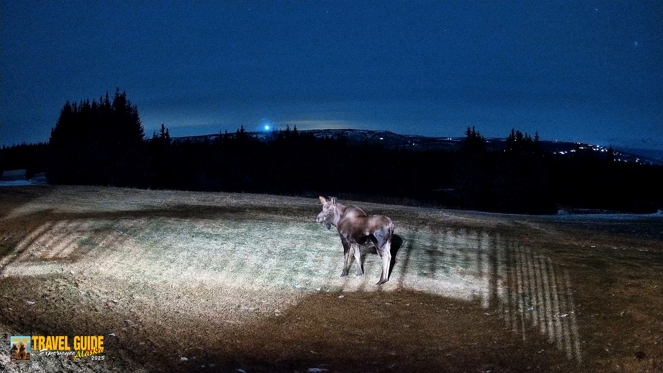 Snapshot of Homer Alaska Northern Lights Live Cam taken Dec 25, 2025, 7:42pm AKST