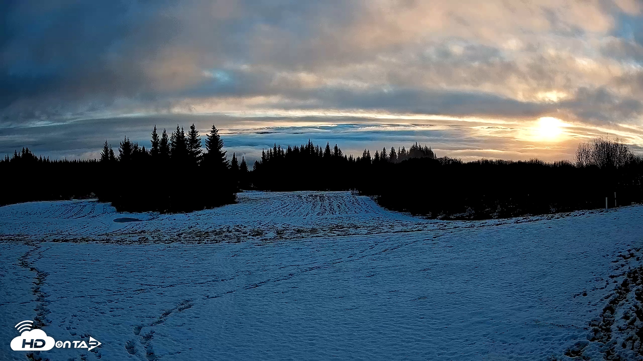 Snapshot of Homer Alaska Northern Lights Live Cam taken Nov 28, 2025, 10:30am AKST