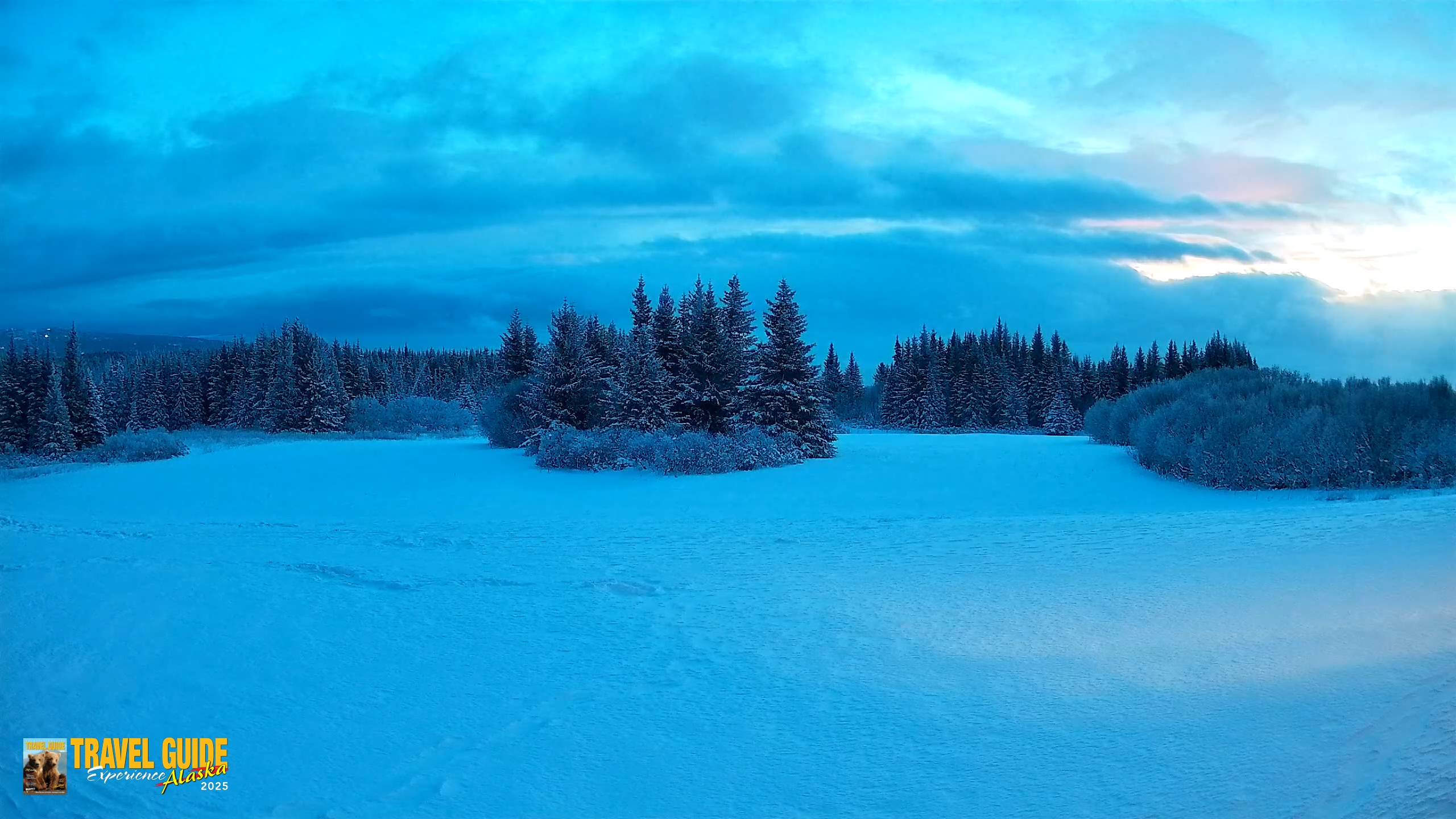 Snapshot of Homer Alaska Northern Lights Live Cam taken Jan 14, 2026, 8:56am AKST