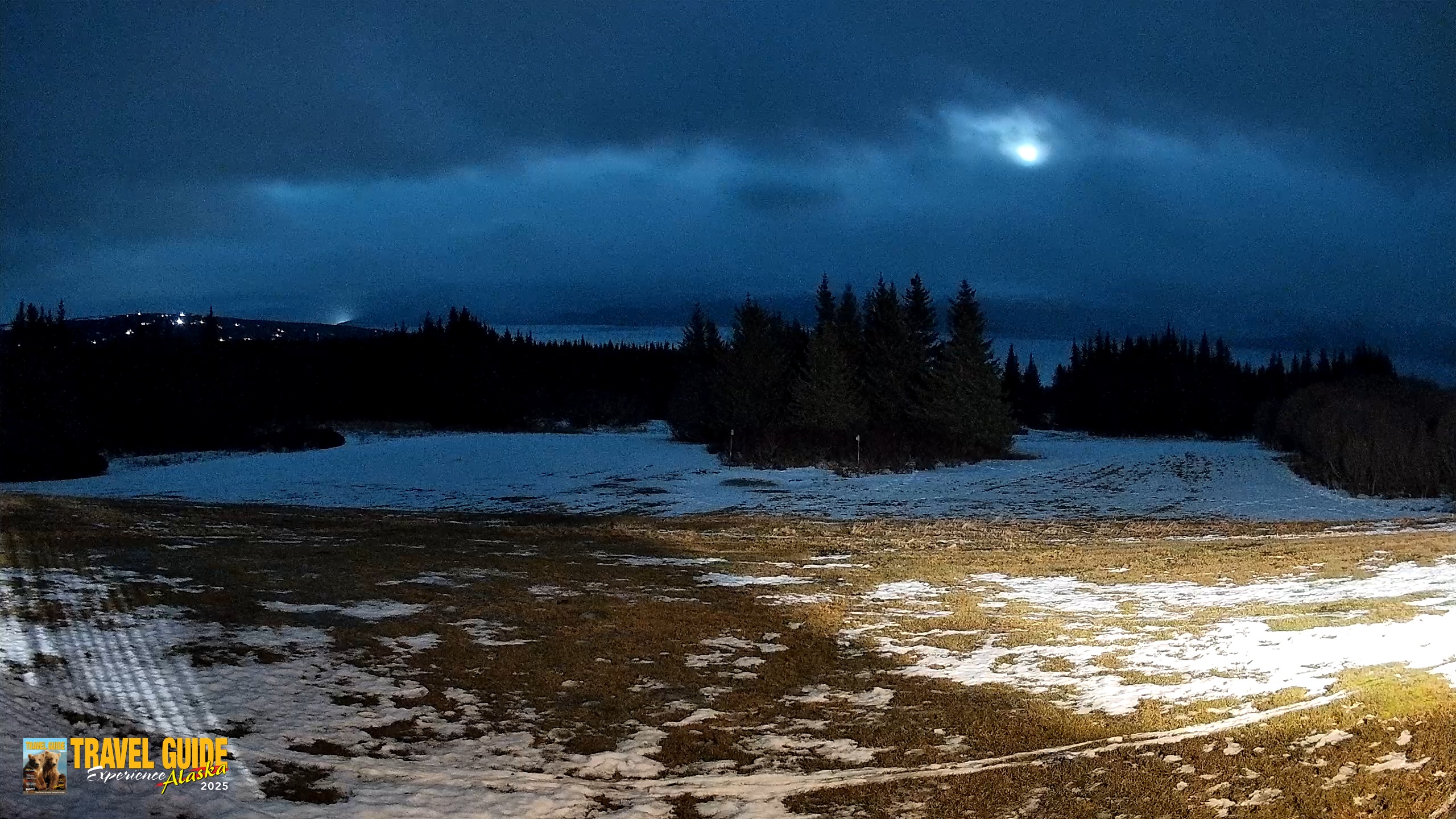 Snapshot of Homer Alaska Northern Lights Live Cam taken Feb 4, 2026, 11:25pm AKST