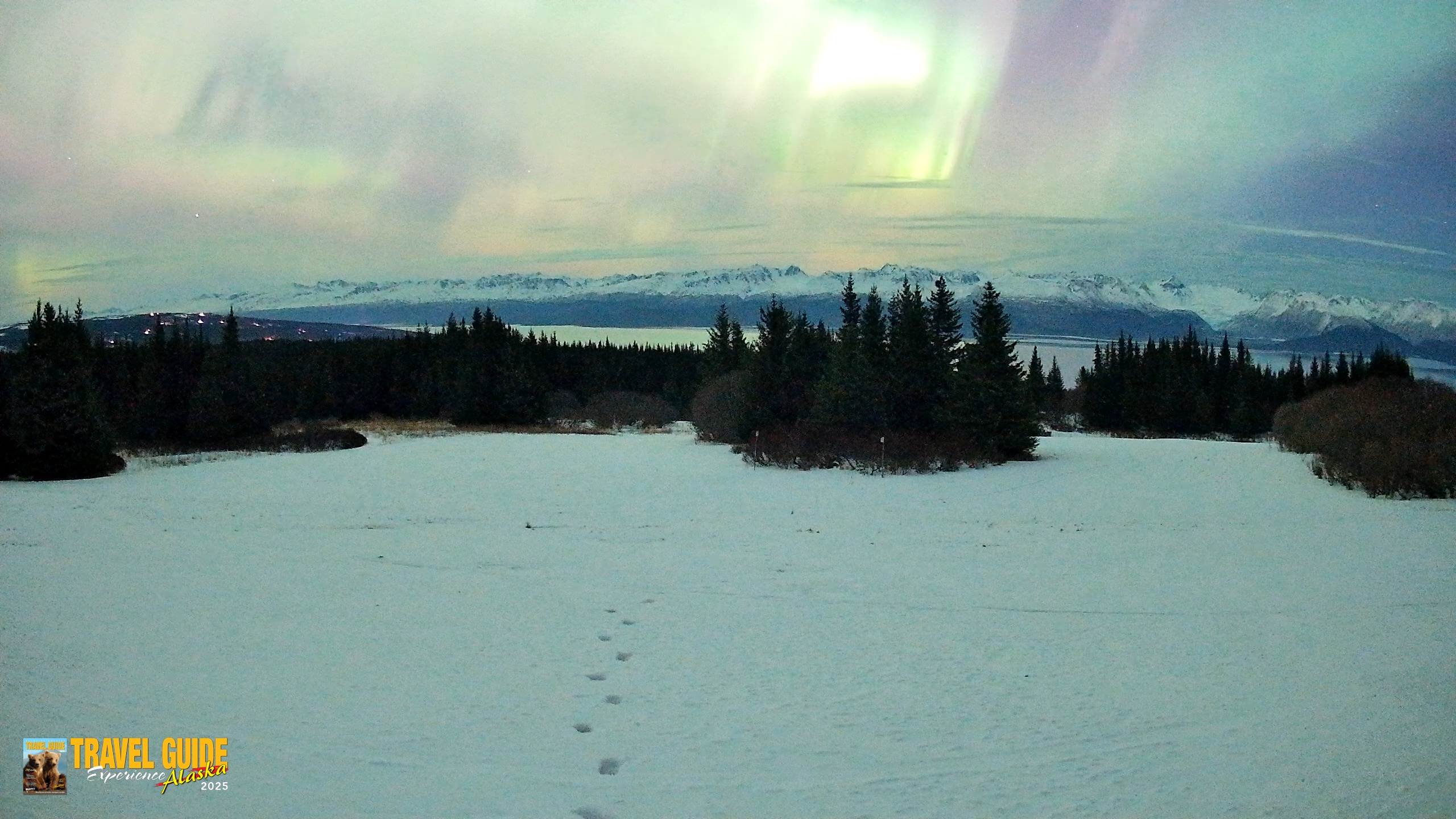 Snapshot of Homer Alaska Northern Lights Live Cam taken Jan 20, 2026, 11:49pm AKST