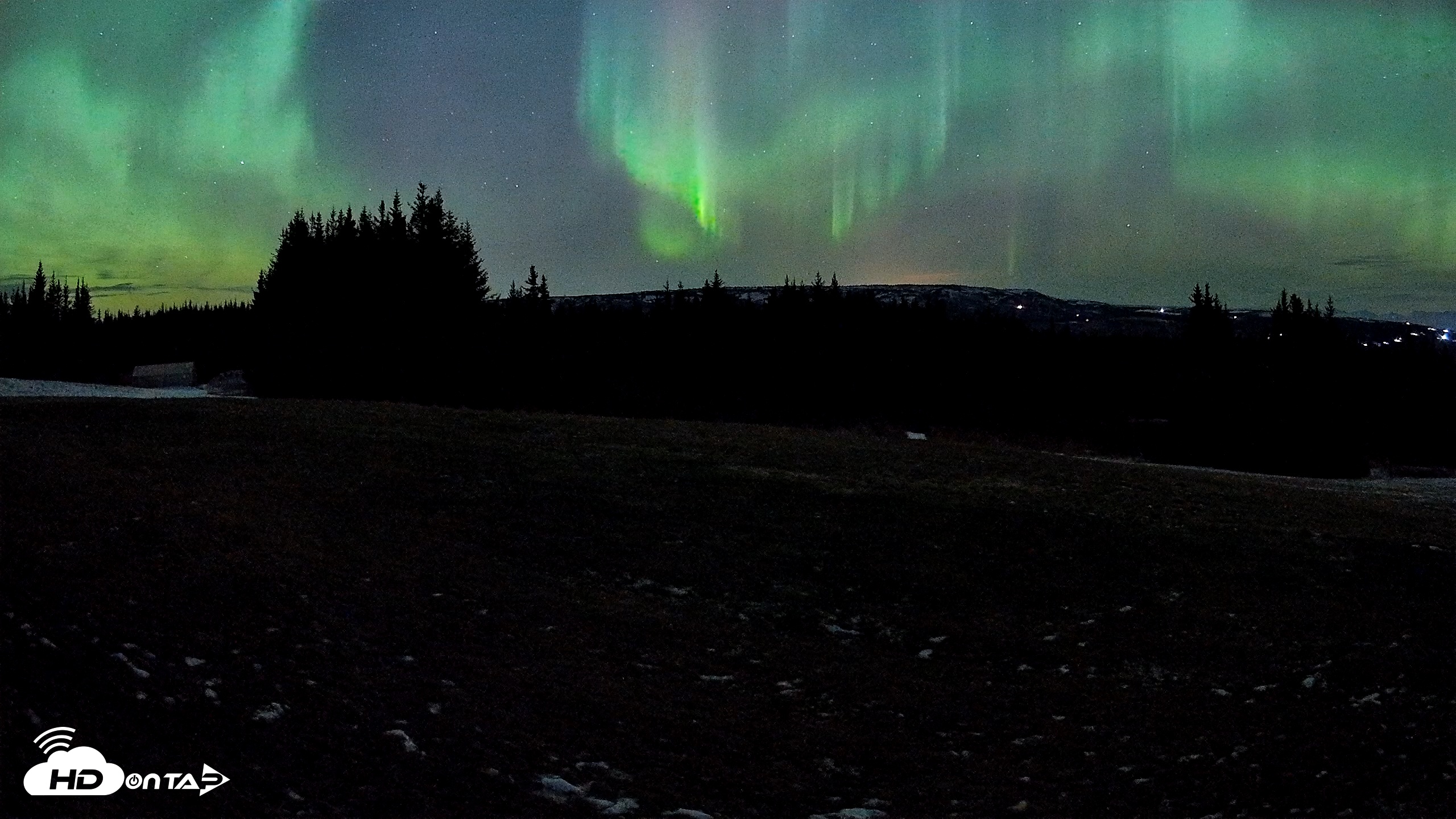 Snapshot of Homer Alaska Northern Lights Live Cam taken Dec 12, 2025, 1:34am AKST