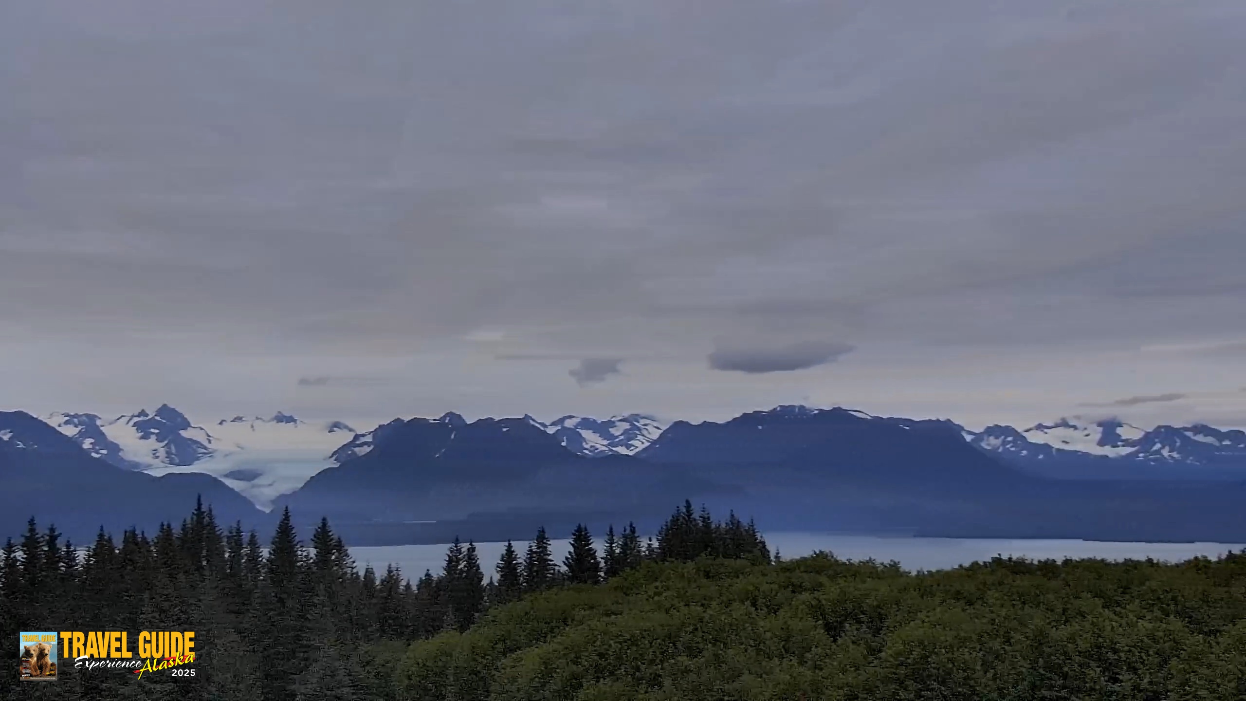 Snapshot of Homer Alaska Northern Lights Live Cam taken Aug 21, 2026, 9:37pm AKDT