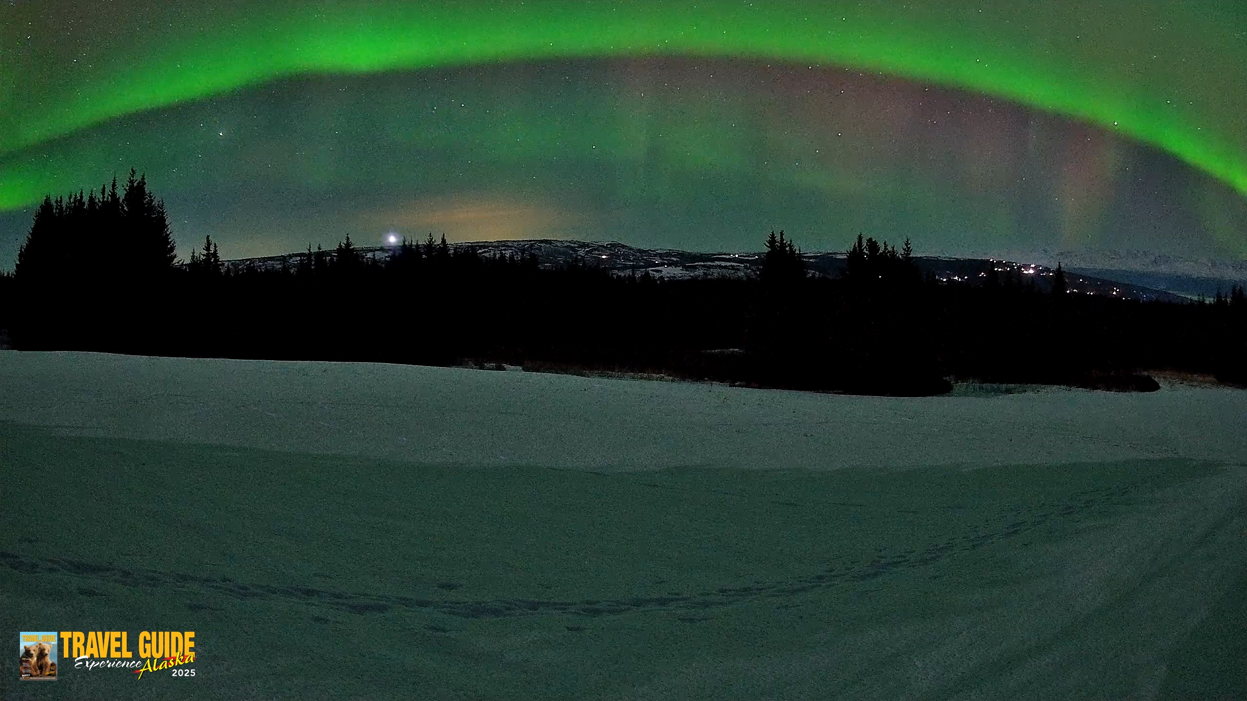 Snapshot of Homer Alaska Northern Lights Live Cam taken Feb 21, 2026, 10:20pm AKST