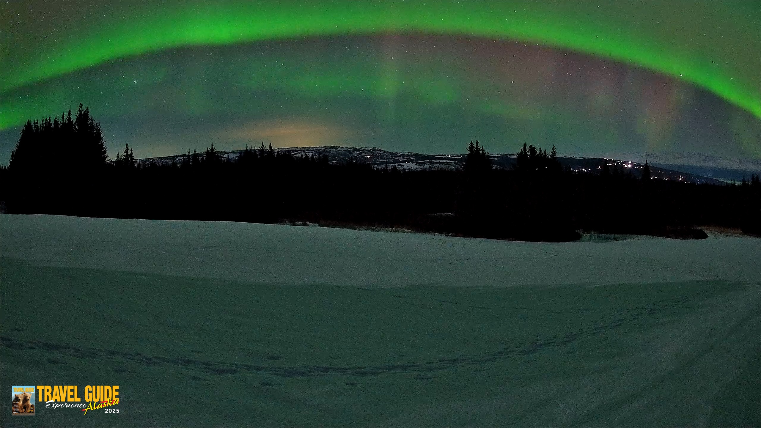 Snapshot of Homer Alaska Northern Lights Live Cam taken Feb 21, 2026, 10:20pm AKST