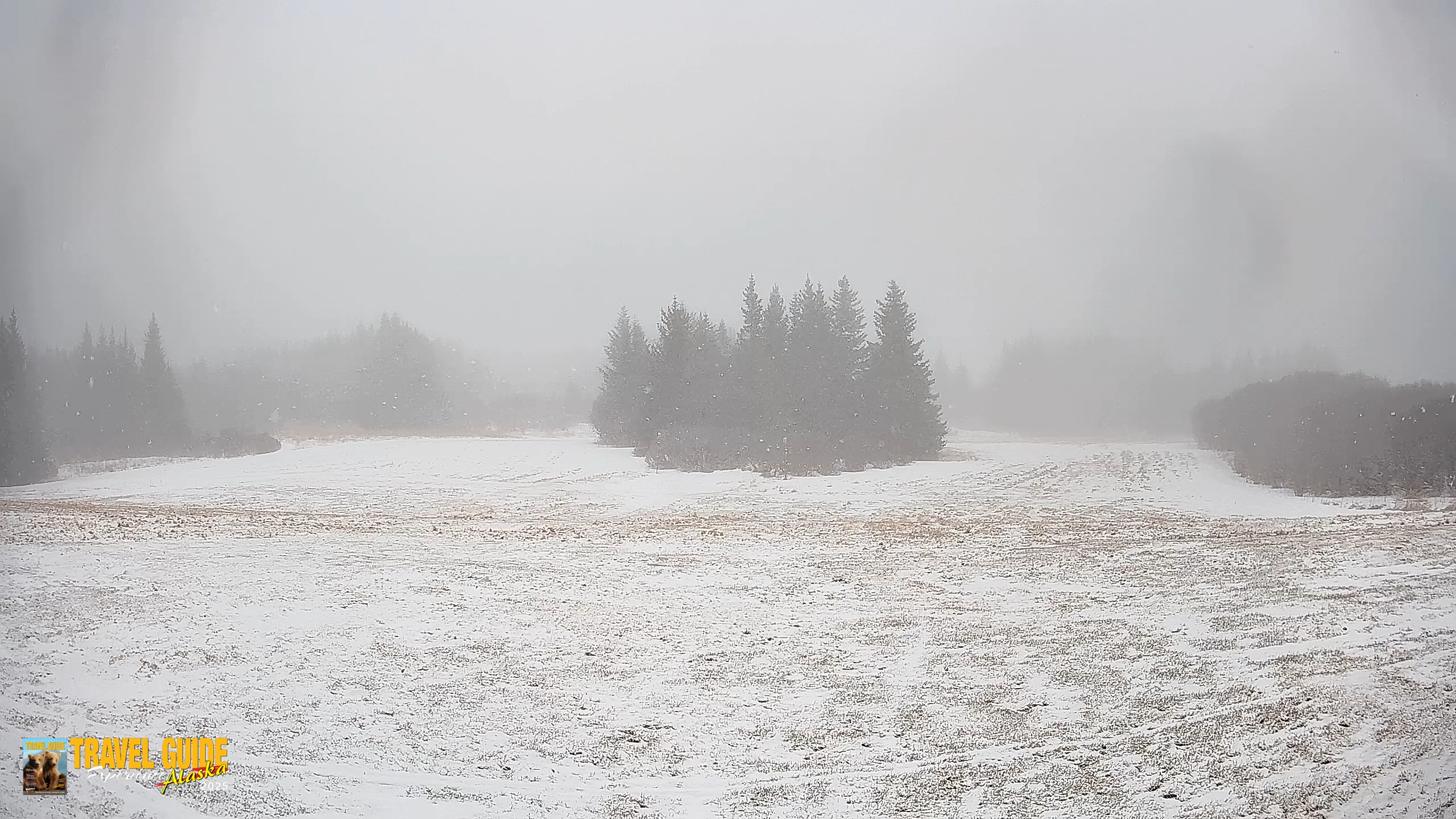 Snapshot of Homer Alaska Northern Lights Live Cam taken Feb 10, 2026, 12:06pm AKST