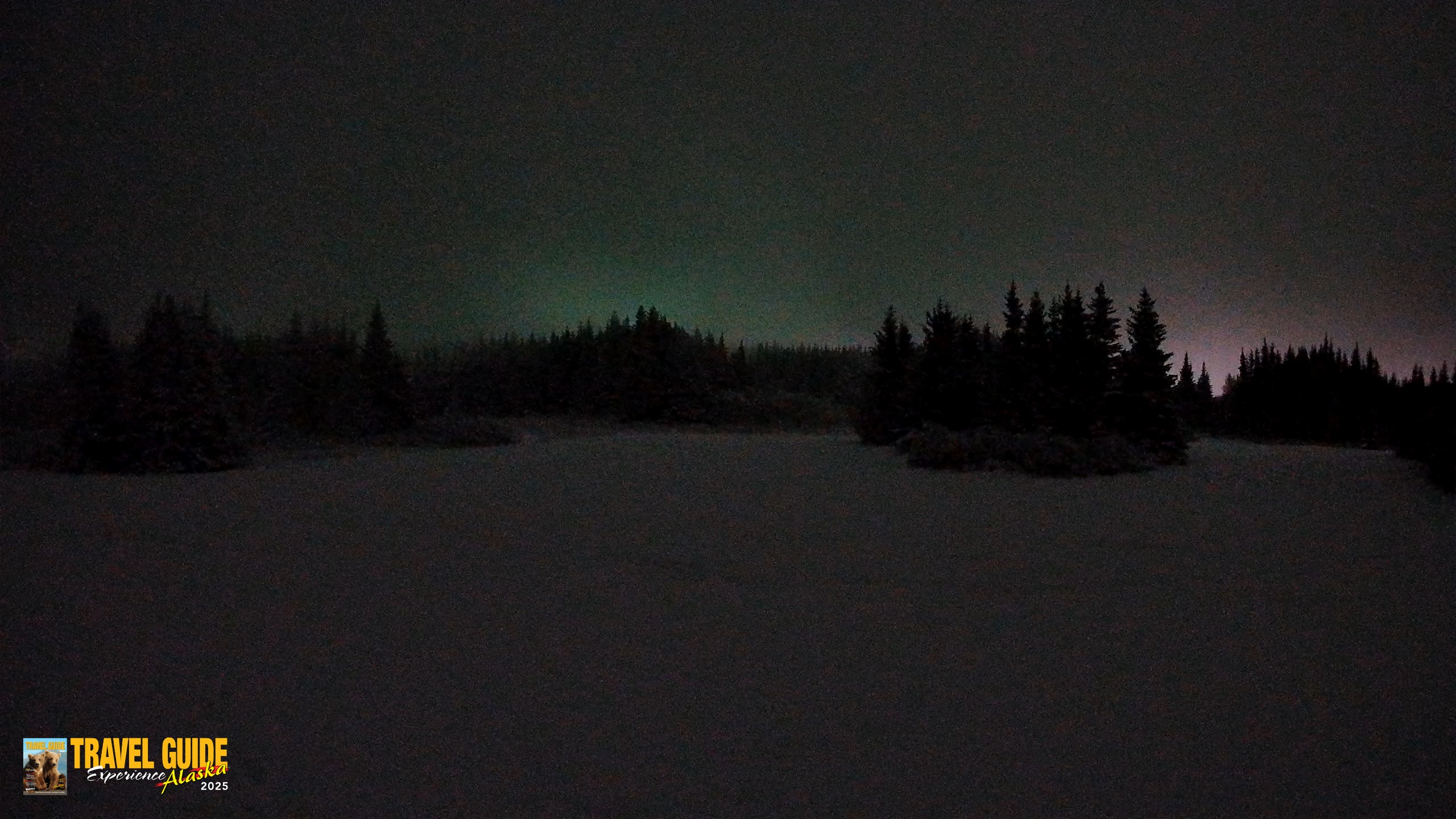 Snapshot of Homer Alaska Northern Lights Live Cam taken Jan 14, 2026, 1:52am AKST