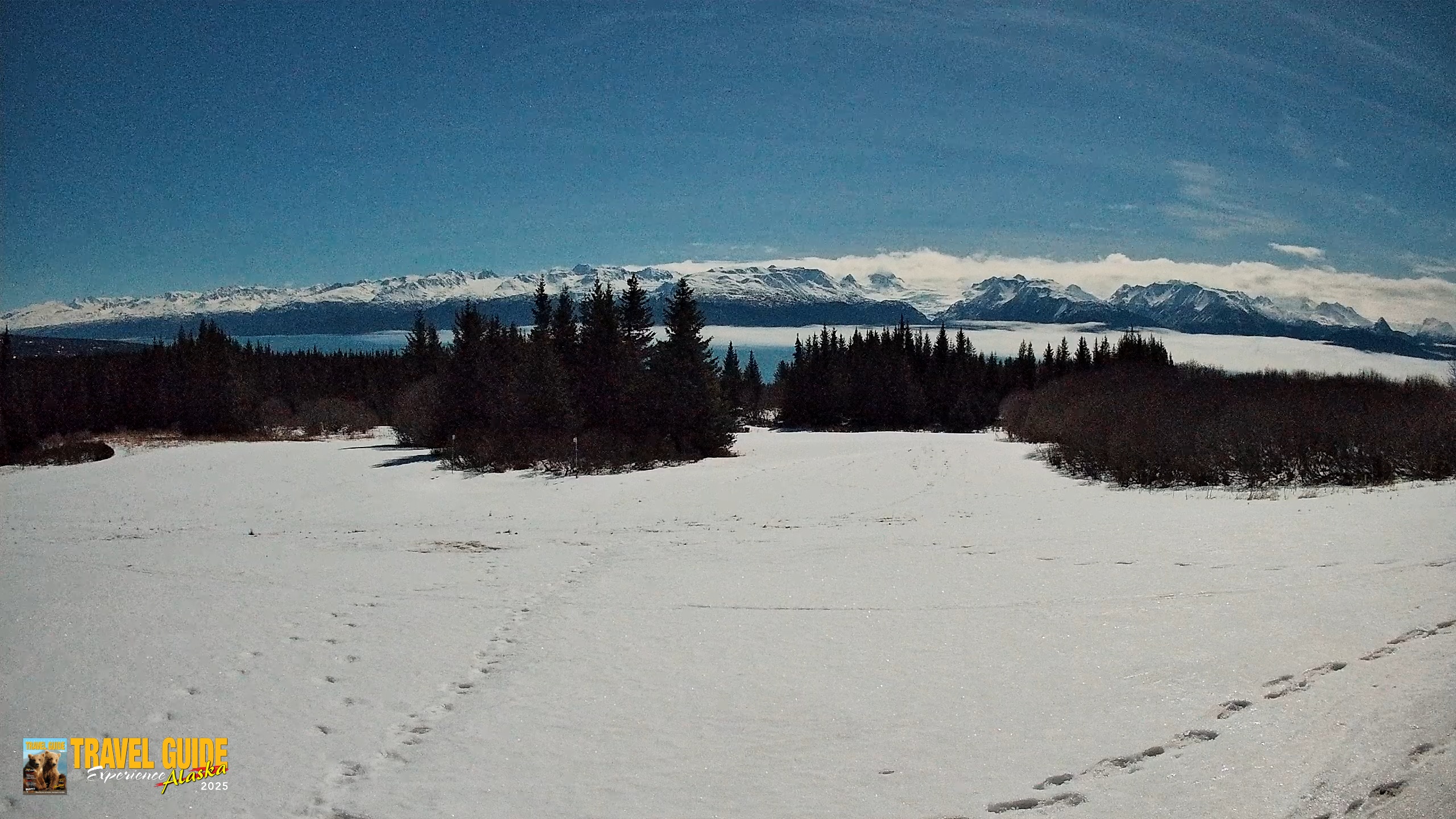 Snapshot of Homer Alaska Northern Lights Live Cam taken Jan 31, 2026, 10:27pm AKST