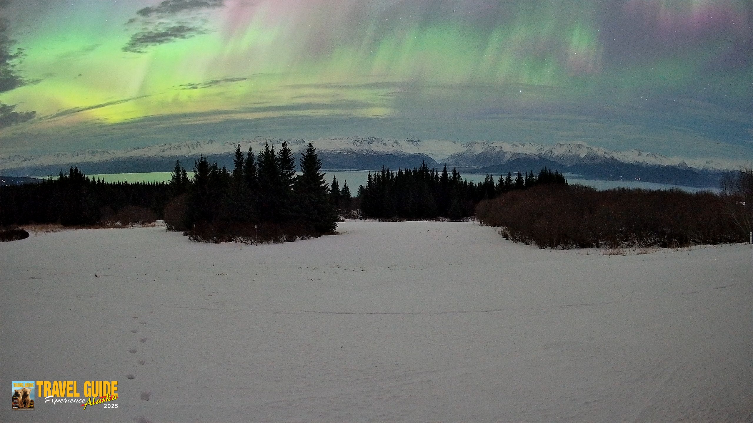 Snapshot of Homer Alaska Northern Lights Live Cam taken Jan 20, 2026, 2:58am AKST