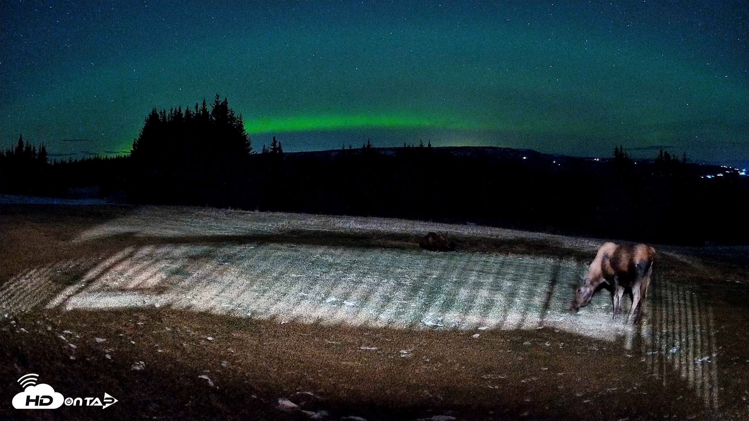 Snapshot of Homer Alaska Northern Lights Live Cam taken Dec 12, 2025, 3:06am AKST