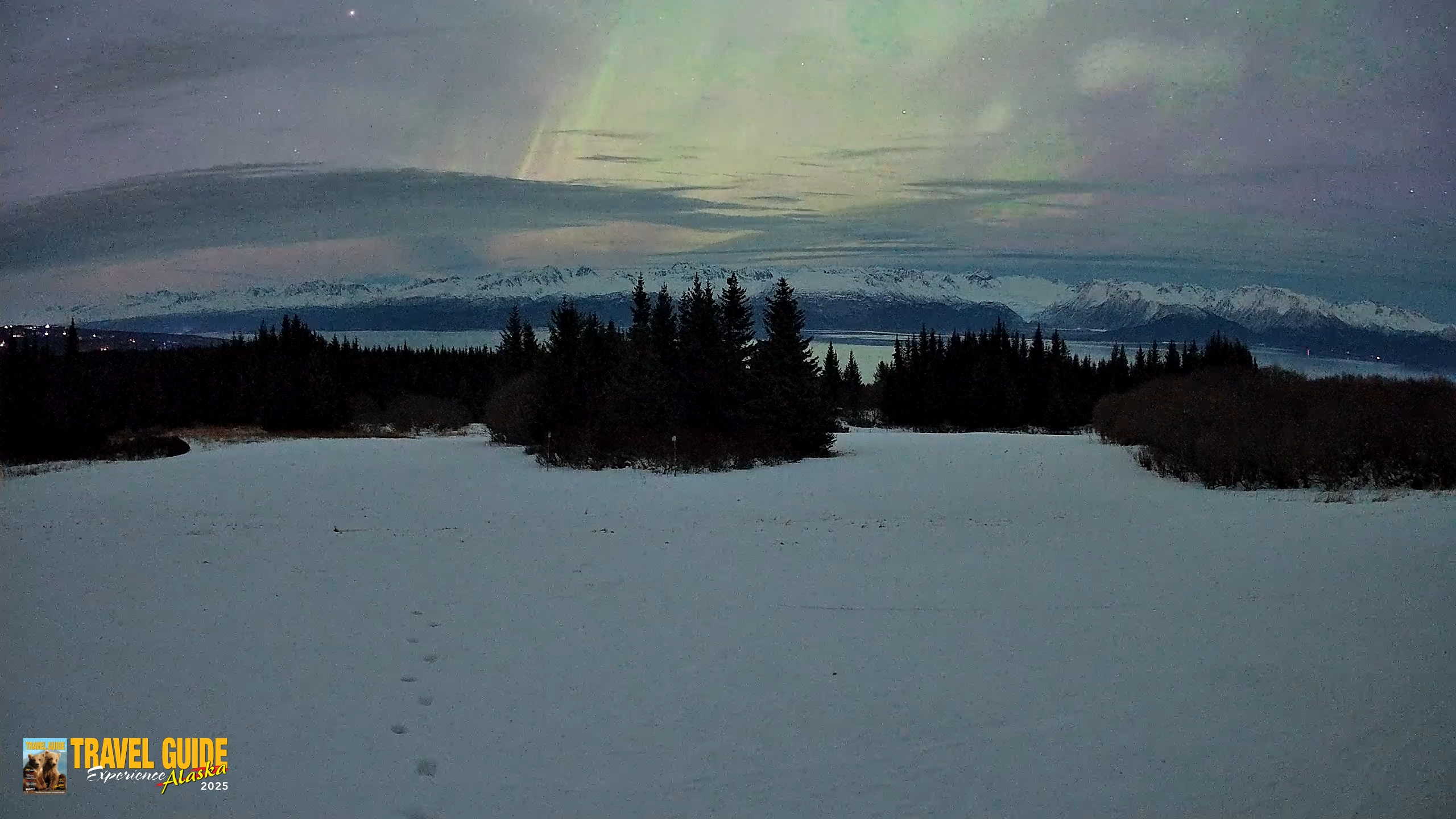 Snapshot of Homer Alaska Northern Lights Live Cam taken Jan 21, 2026, 1:22am AKST